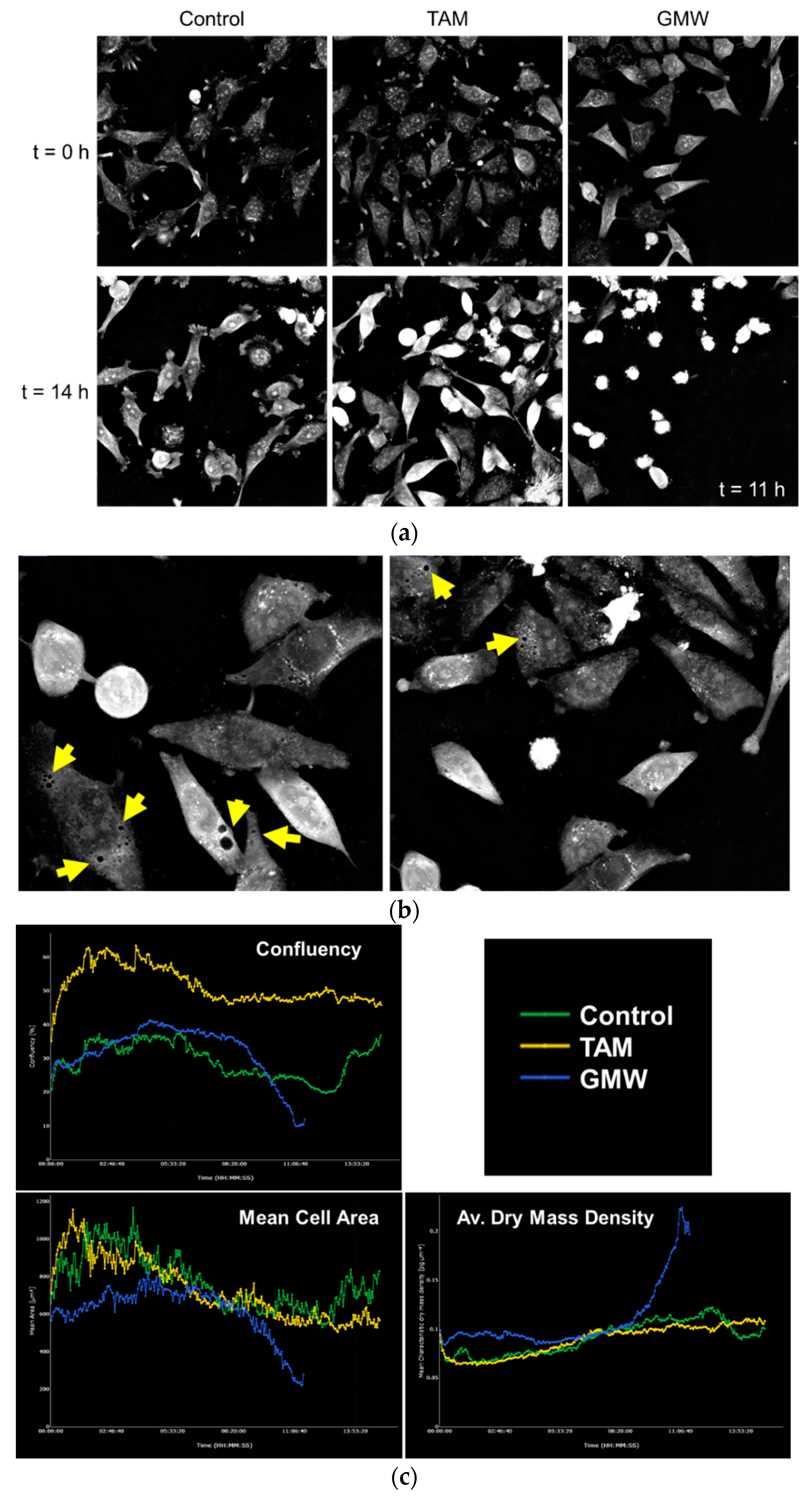 Molecules 27 06101 g007 Molecules 27 06101 g007