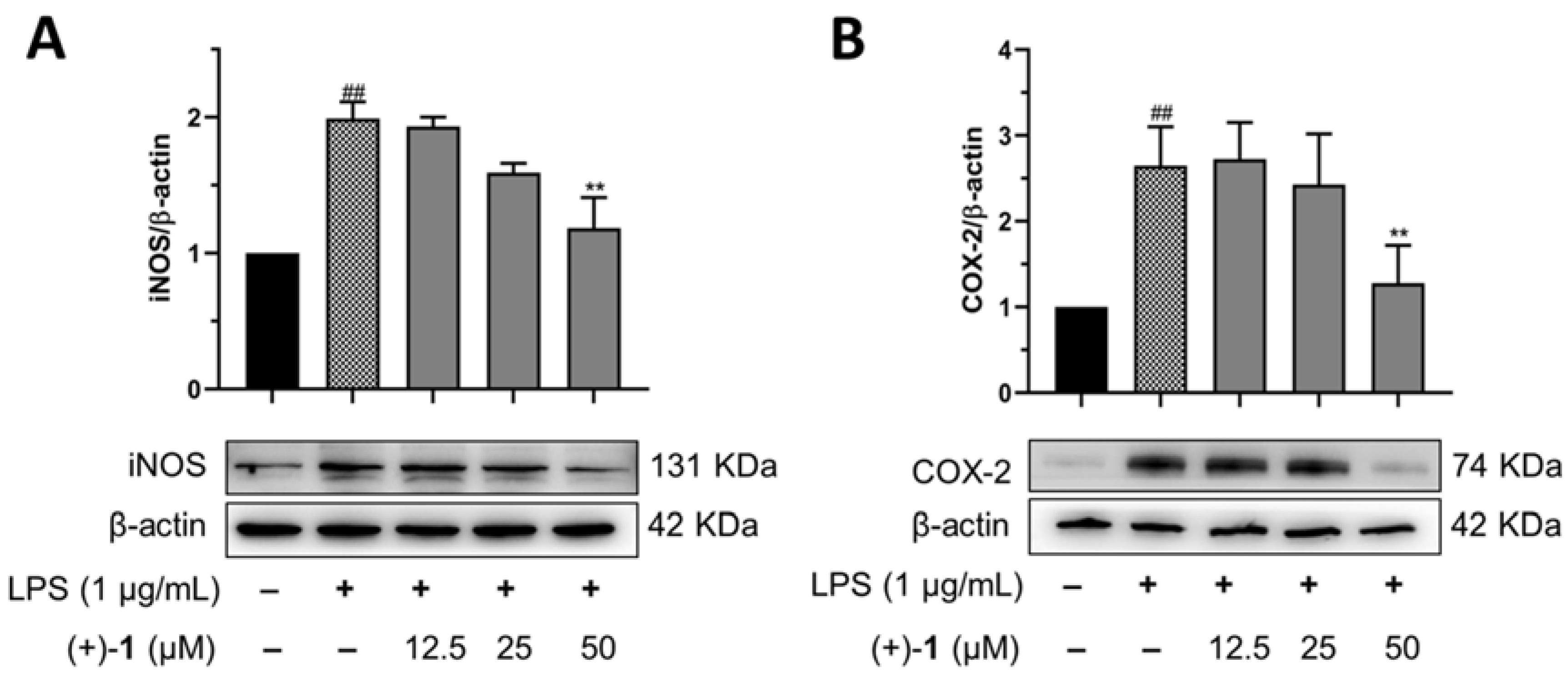 Molecules 27 06102 g007 Molecules 27 06102 g007