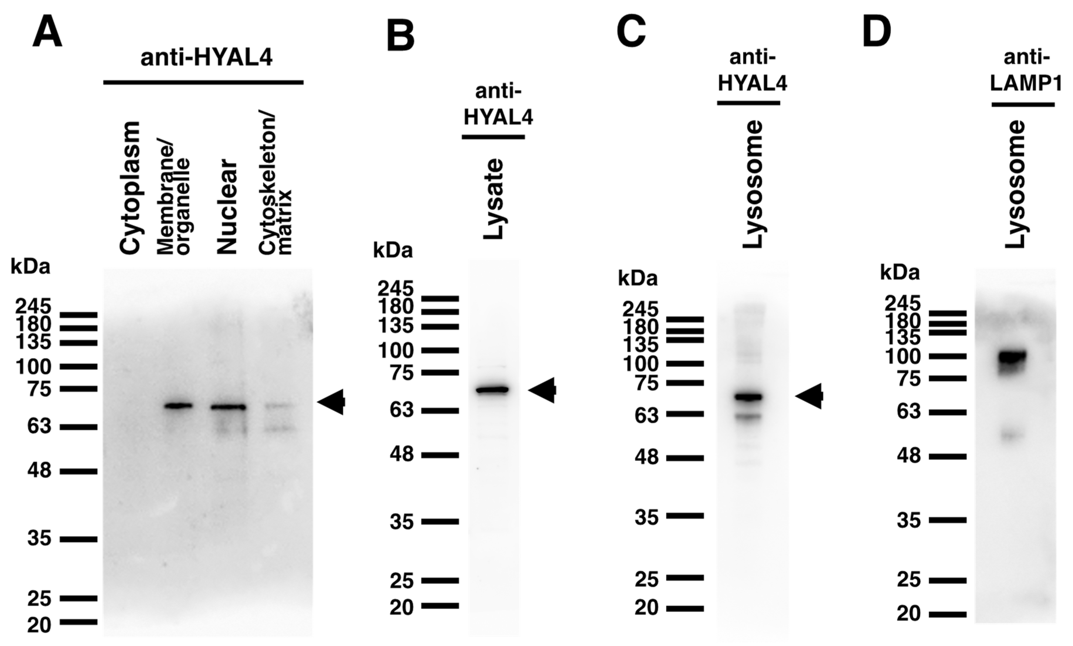 Molecules 27 06103 g005 Molecules 27 06103 g005