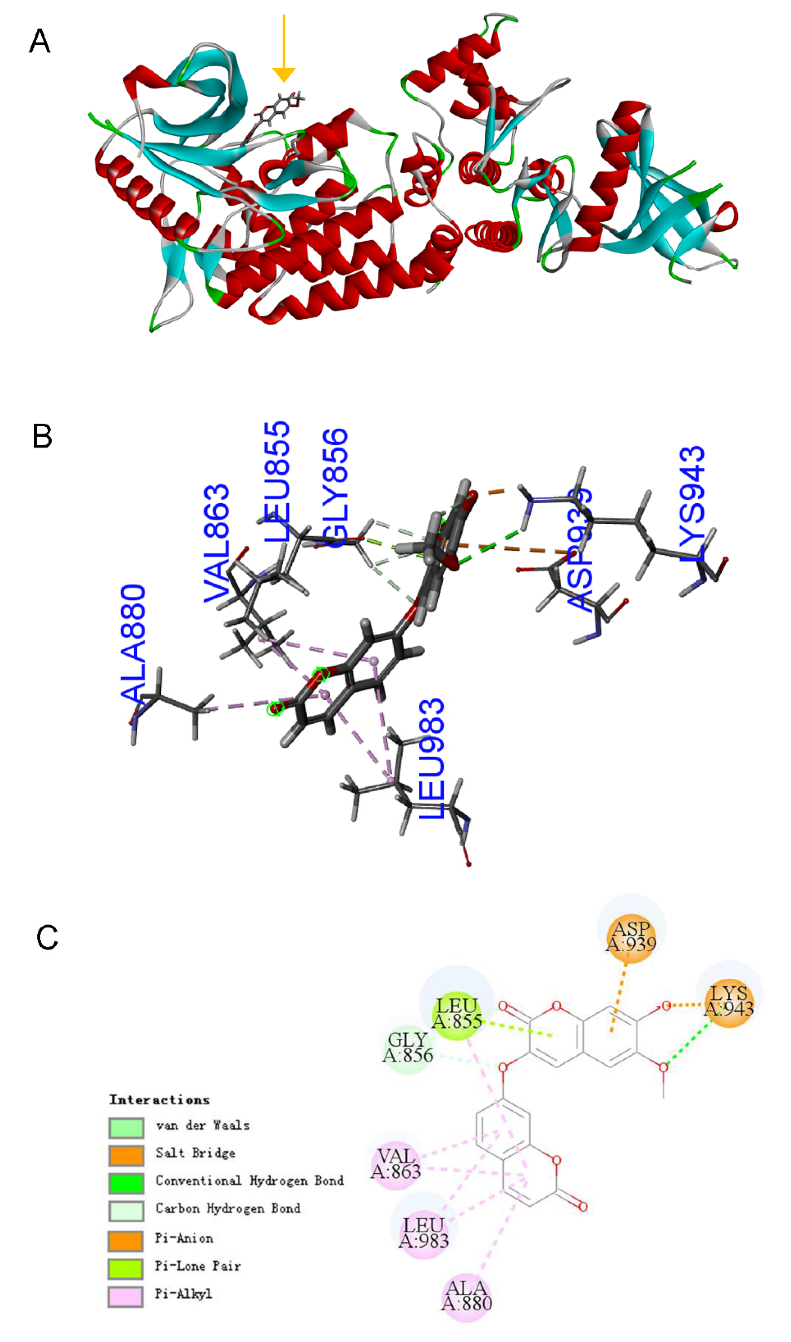 Molecules 27 06105 g005 550