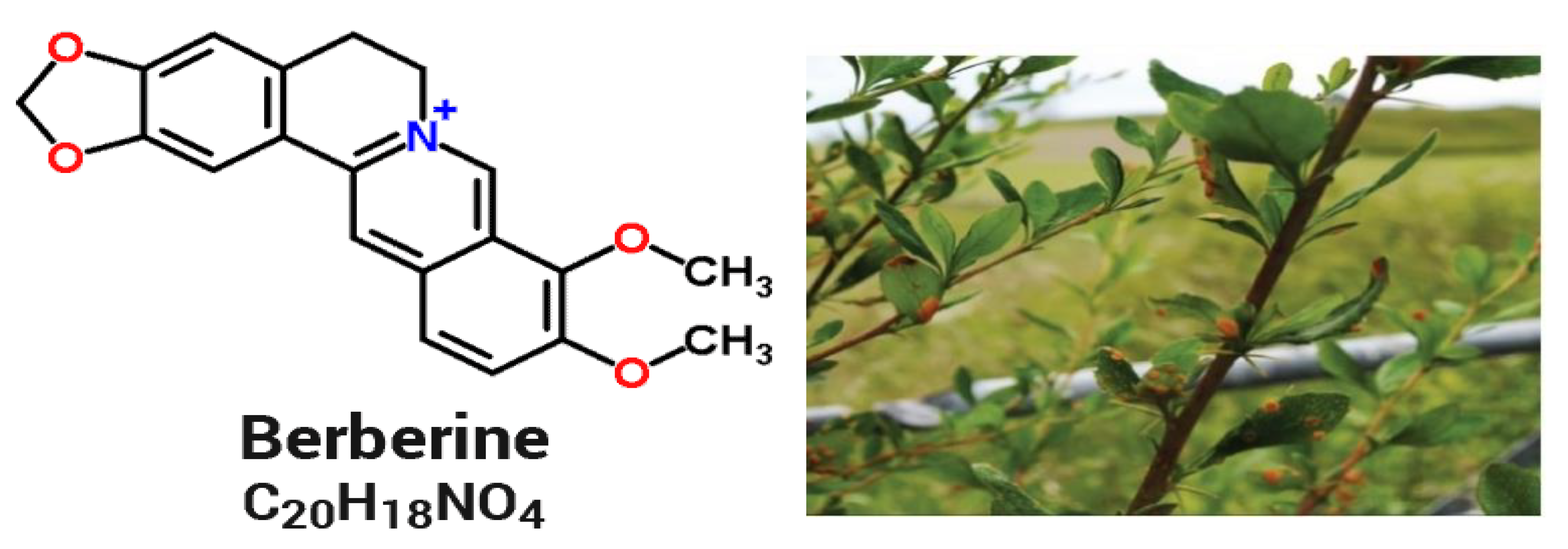 Molecules 27 06114 g006 Molecules 27 06114 g006
