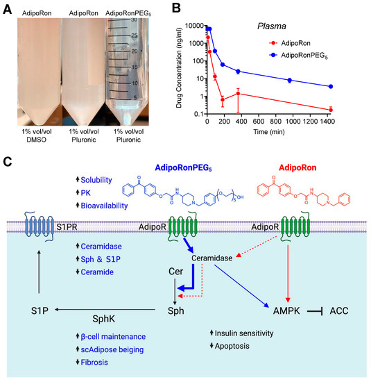 Pb cathode assisted electrochemical extraction of Pr(III) by