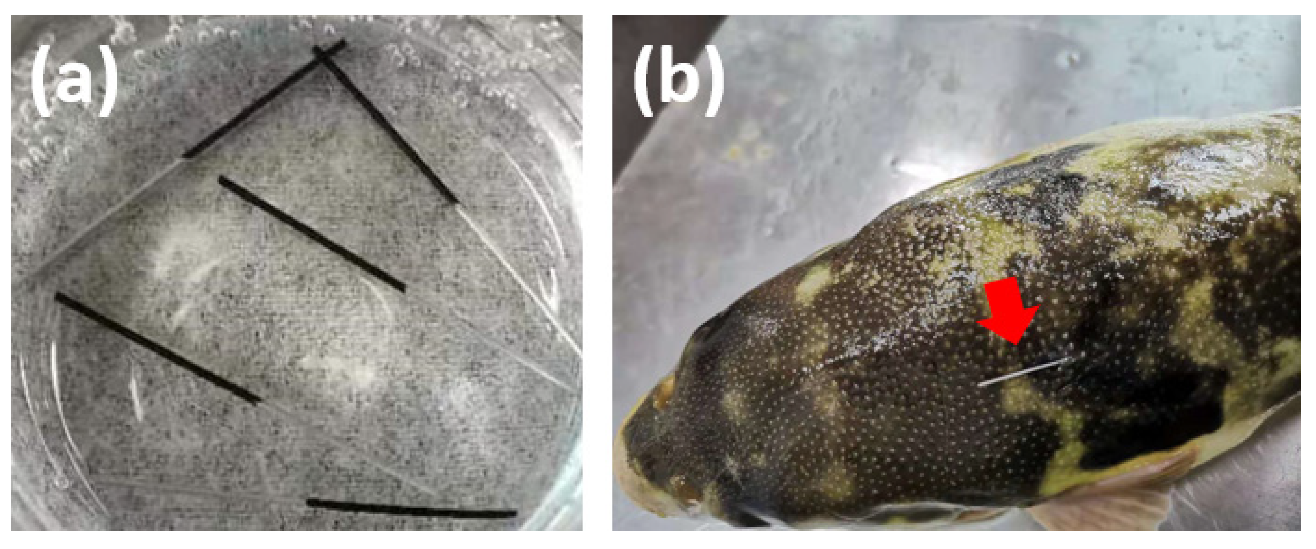 Molecules 27 06122 g001 550