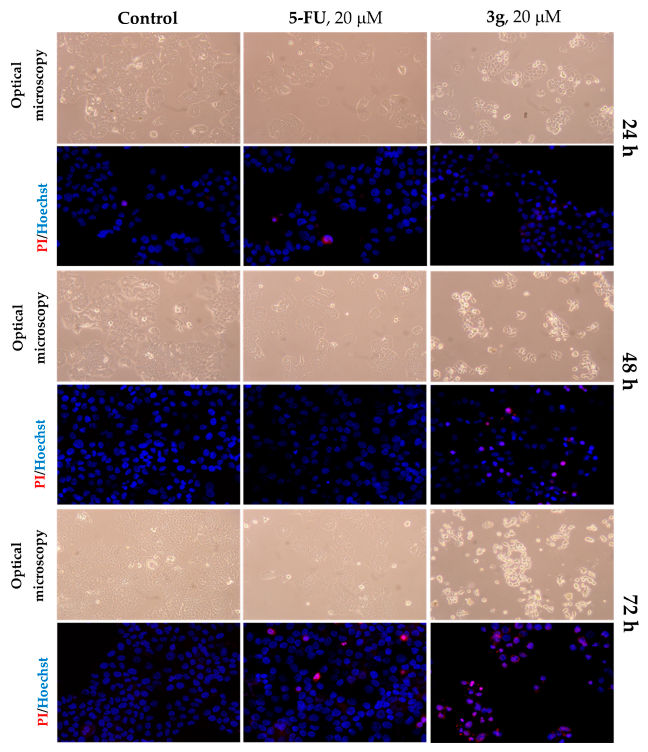Molecules 27 06126 g001 Molecules 27 06126 g001