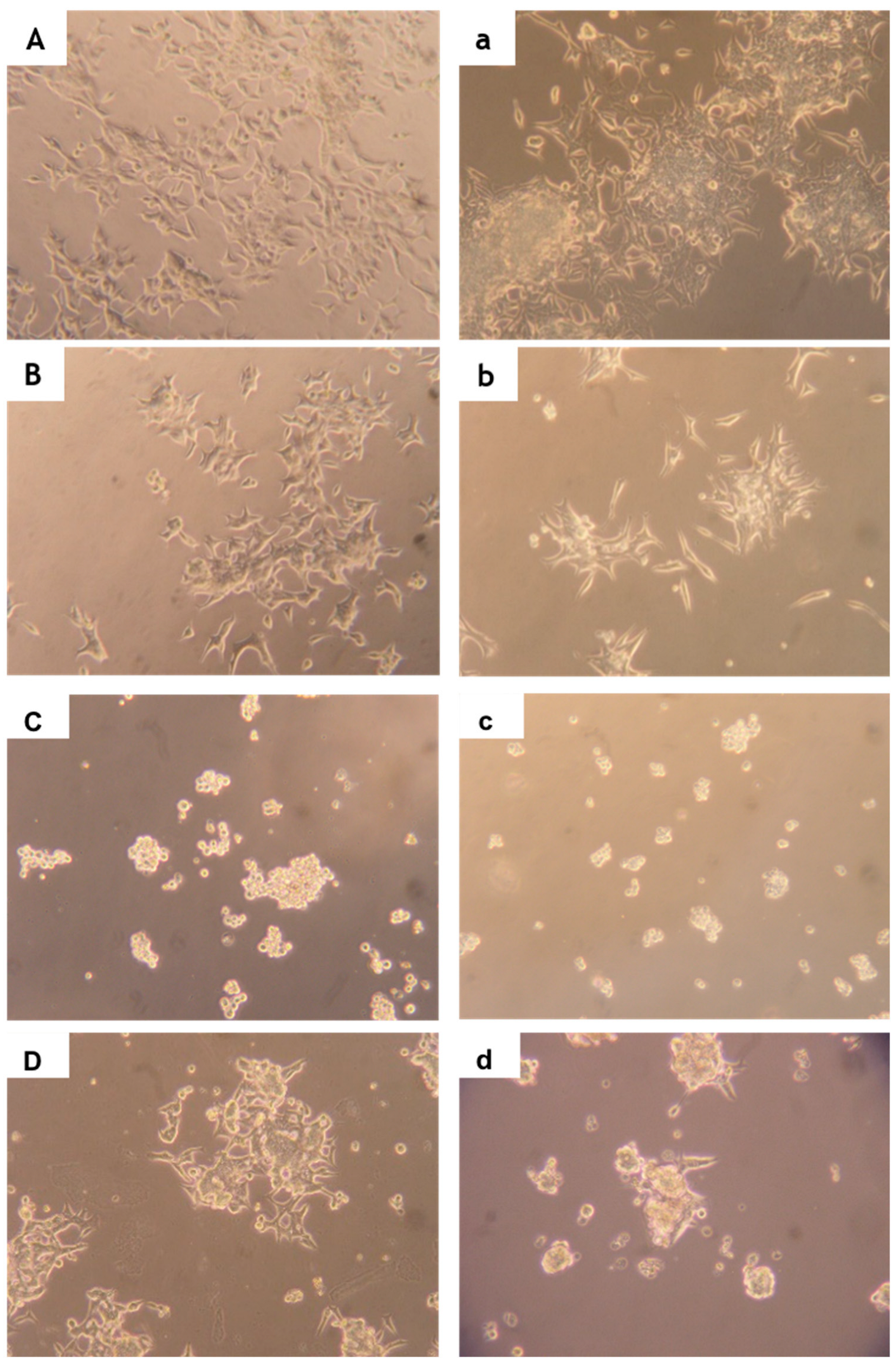 Molecules 27 06126 g006 Molecules 27 06126 g006
