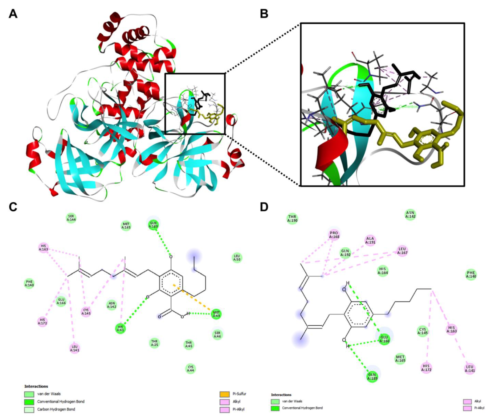 Molecules 27 06127 g008