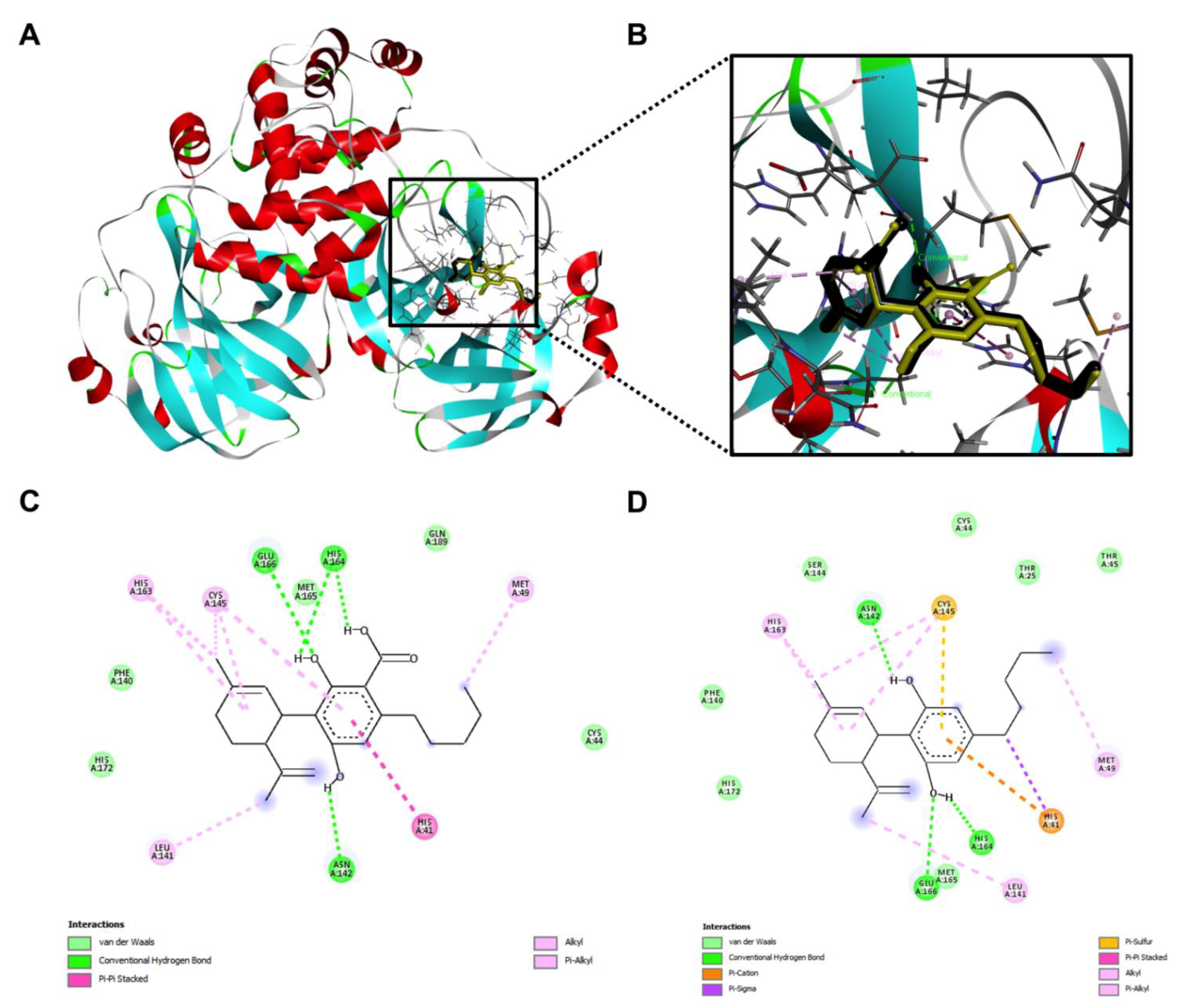 Molecules 27 06127 g010