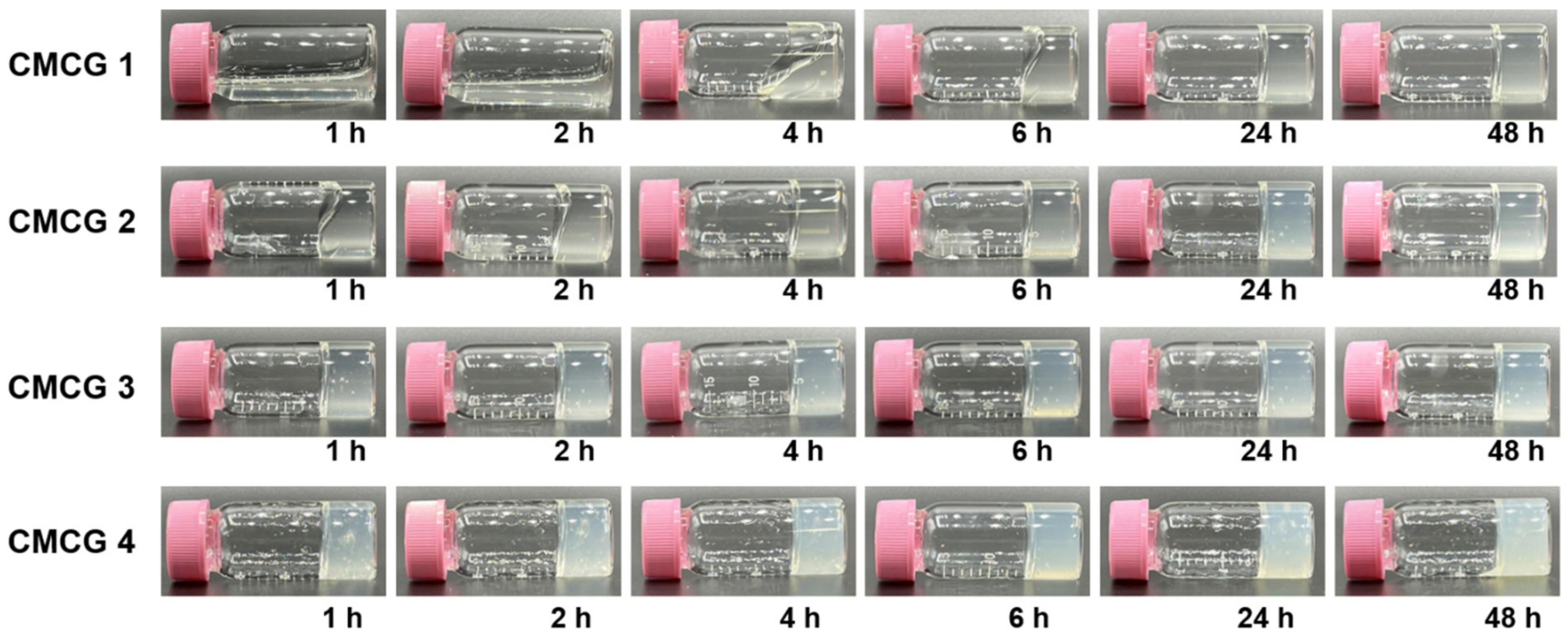 Molecules 27 06137 g005 550