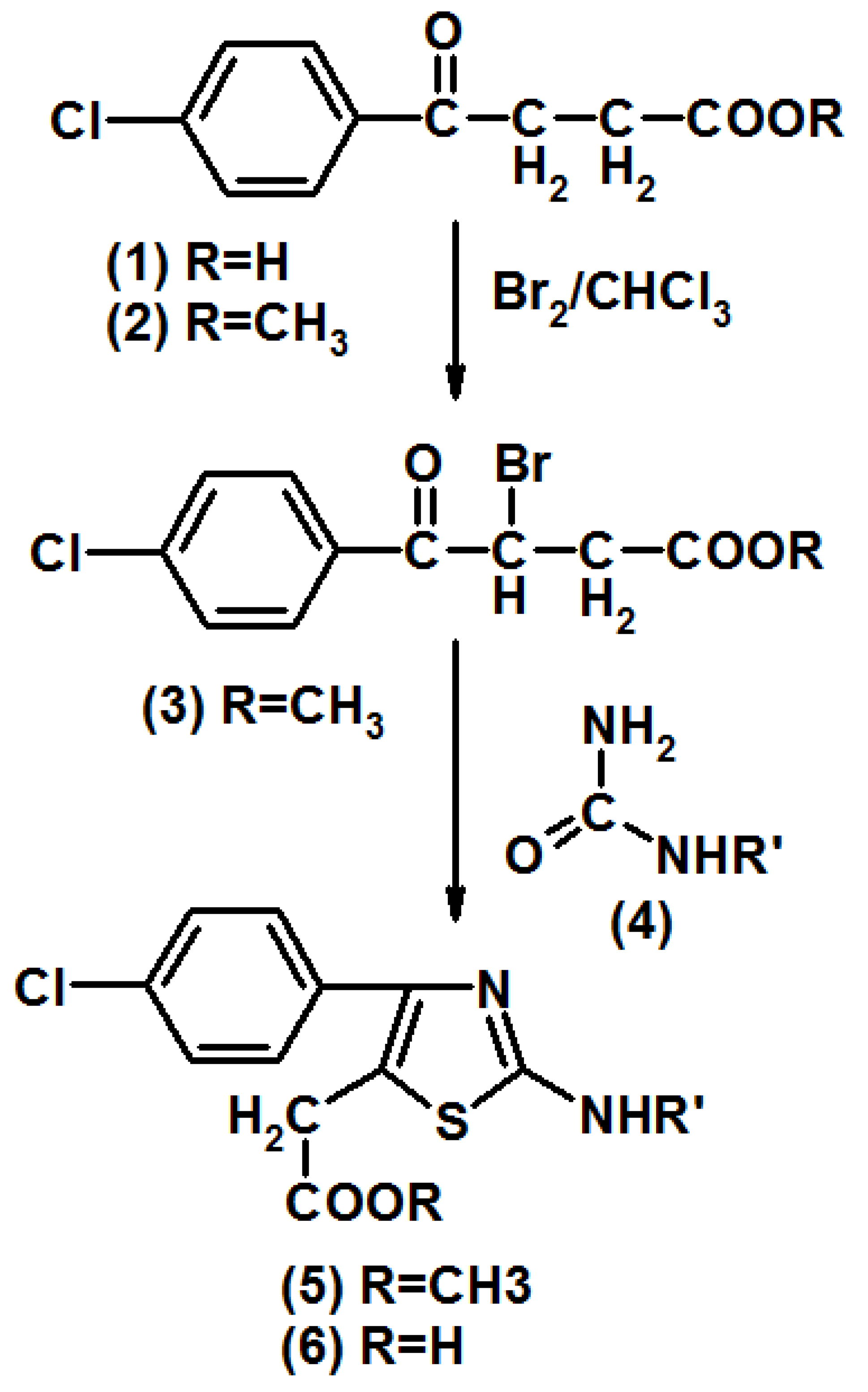 Molecules Free FullText New Thiazole Acetic Acid Derivatives A