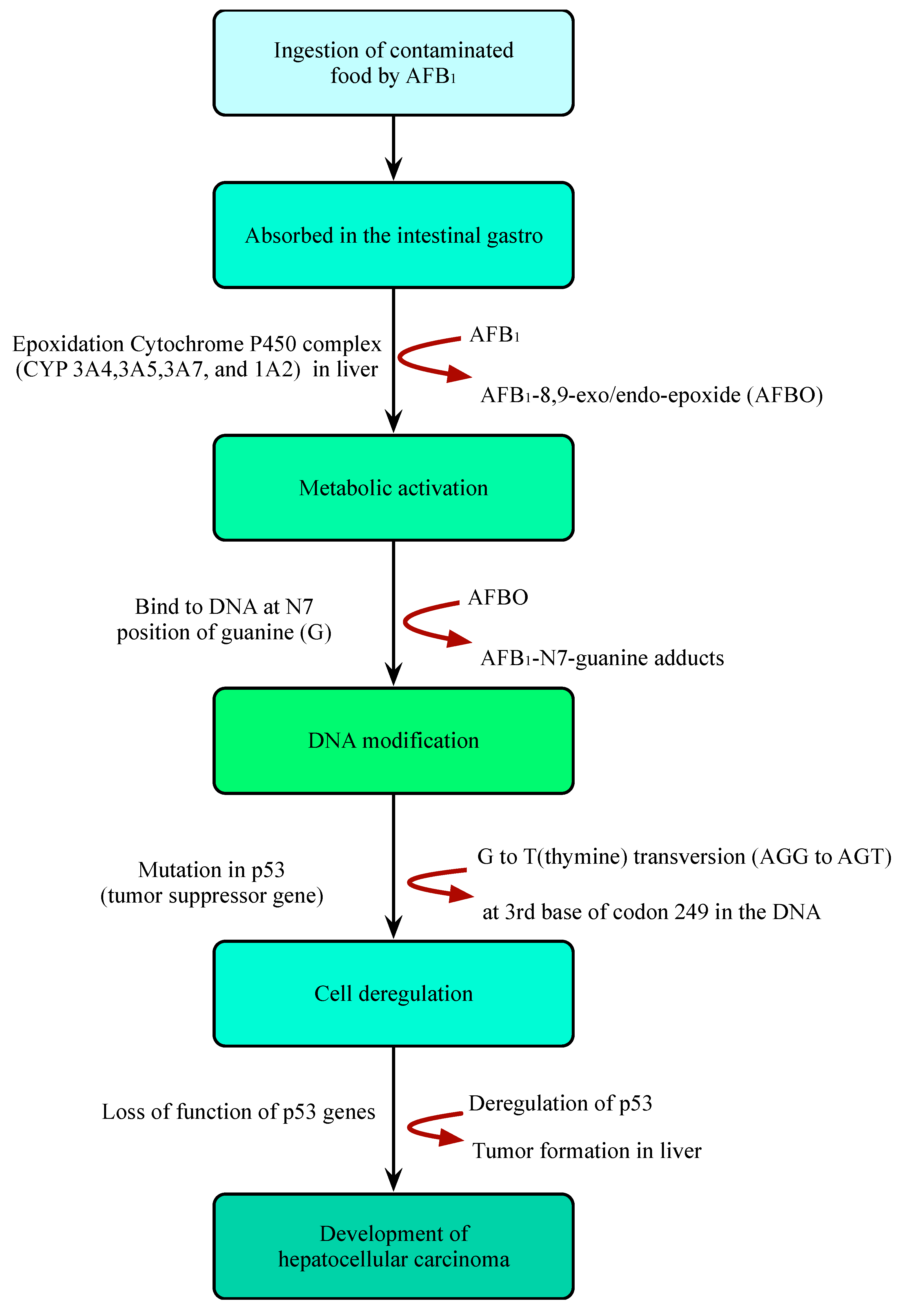 Molecules 27 06141 g003
