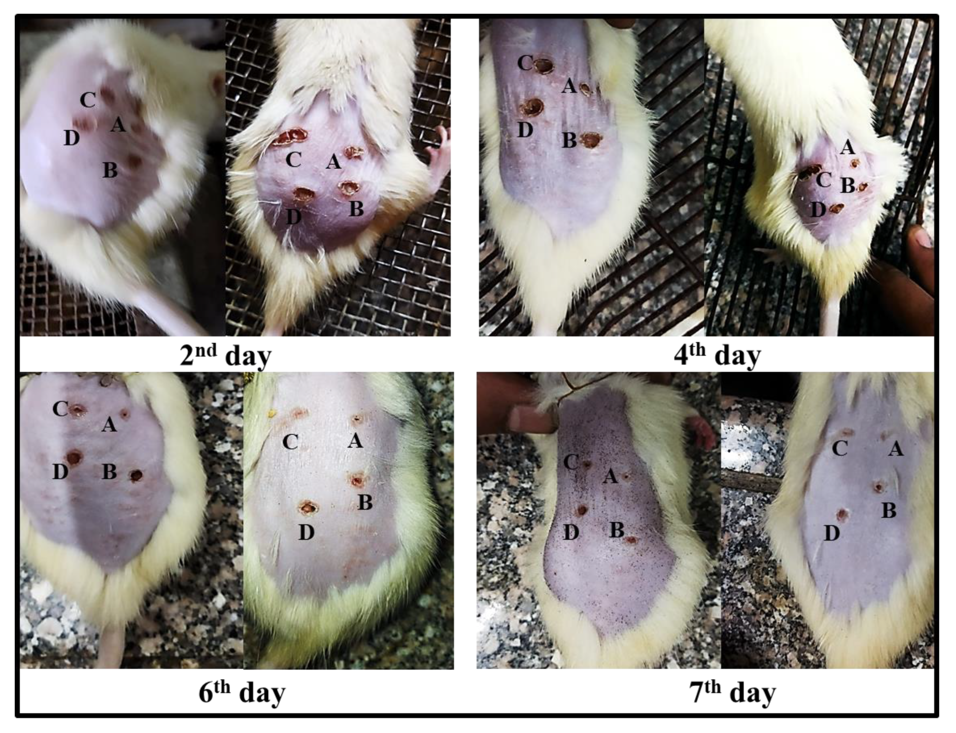 Molecules 27 06143 g006 Molecules 27 06143 g006