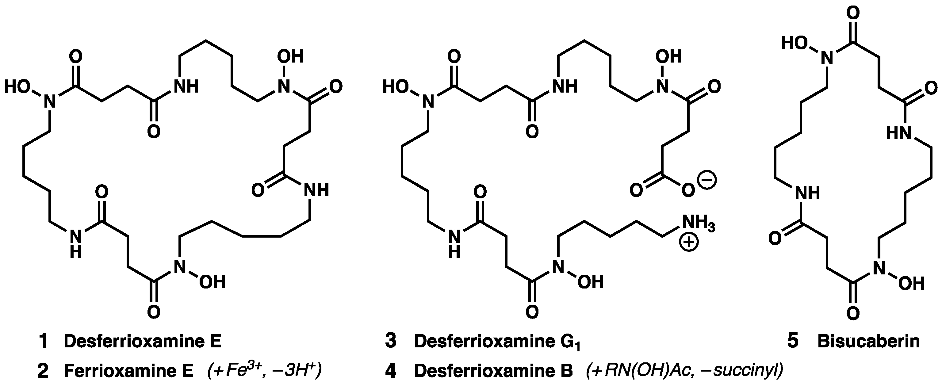Molecules 27 06144 g001 550