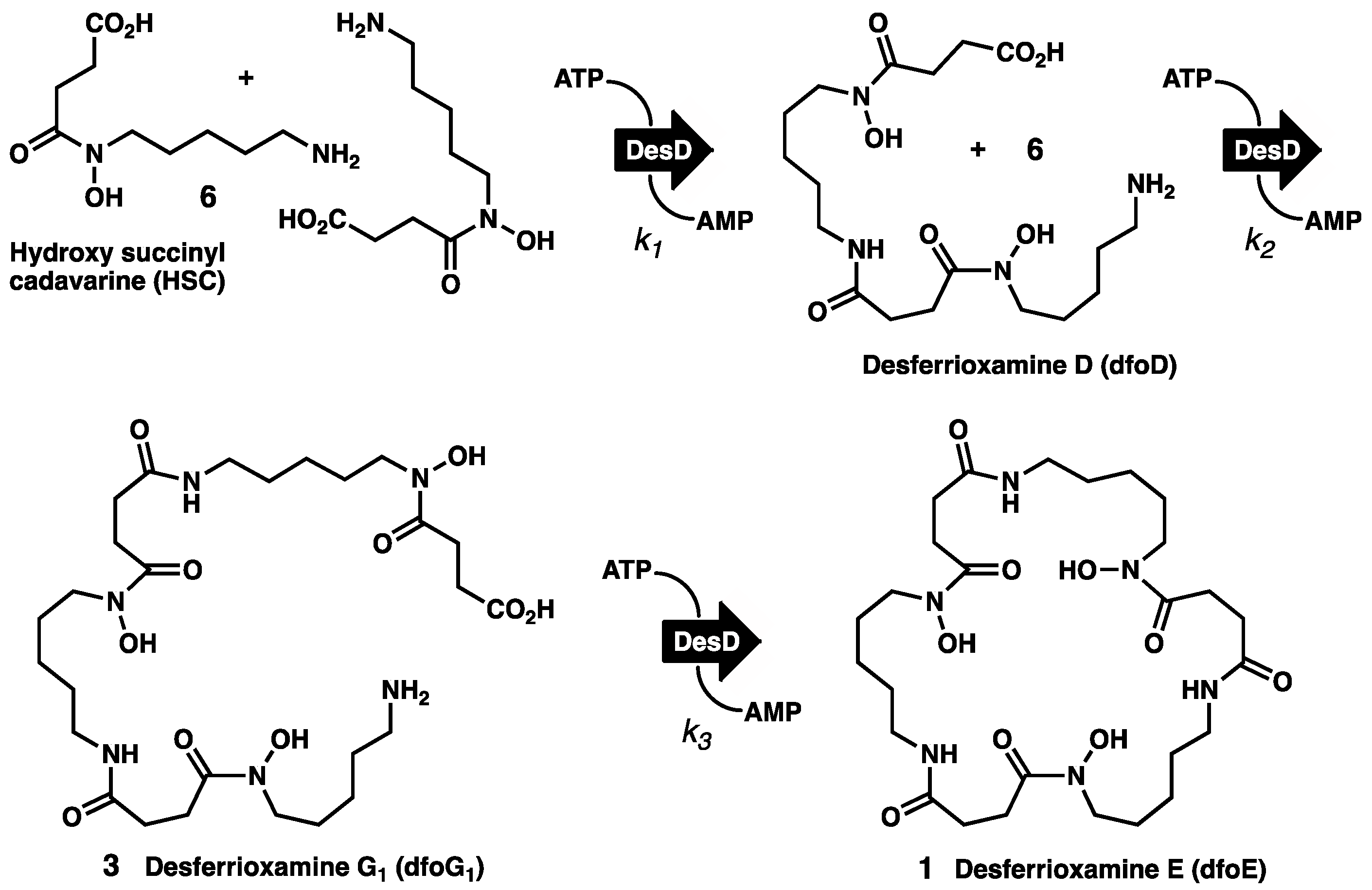 Molecules 27 06144 sch001 550