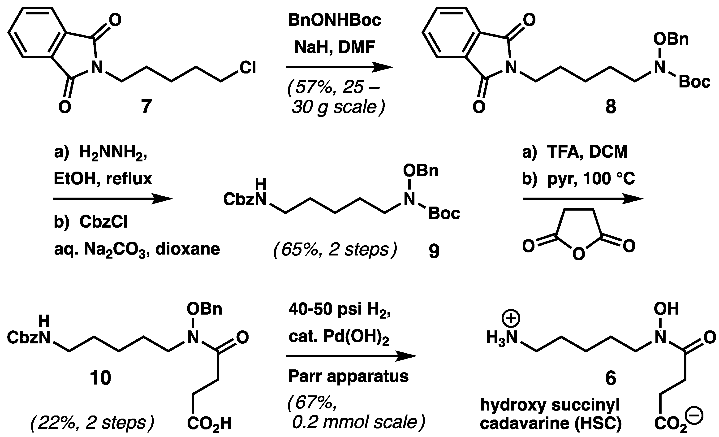 Molecules 27 06144 sch002 550