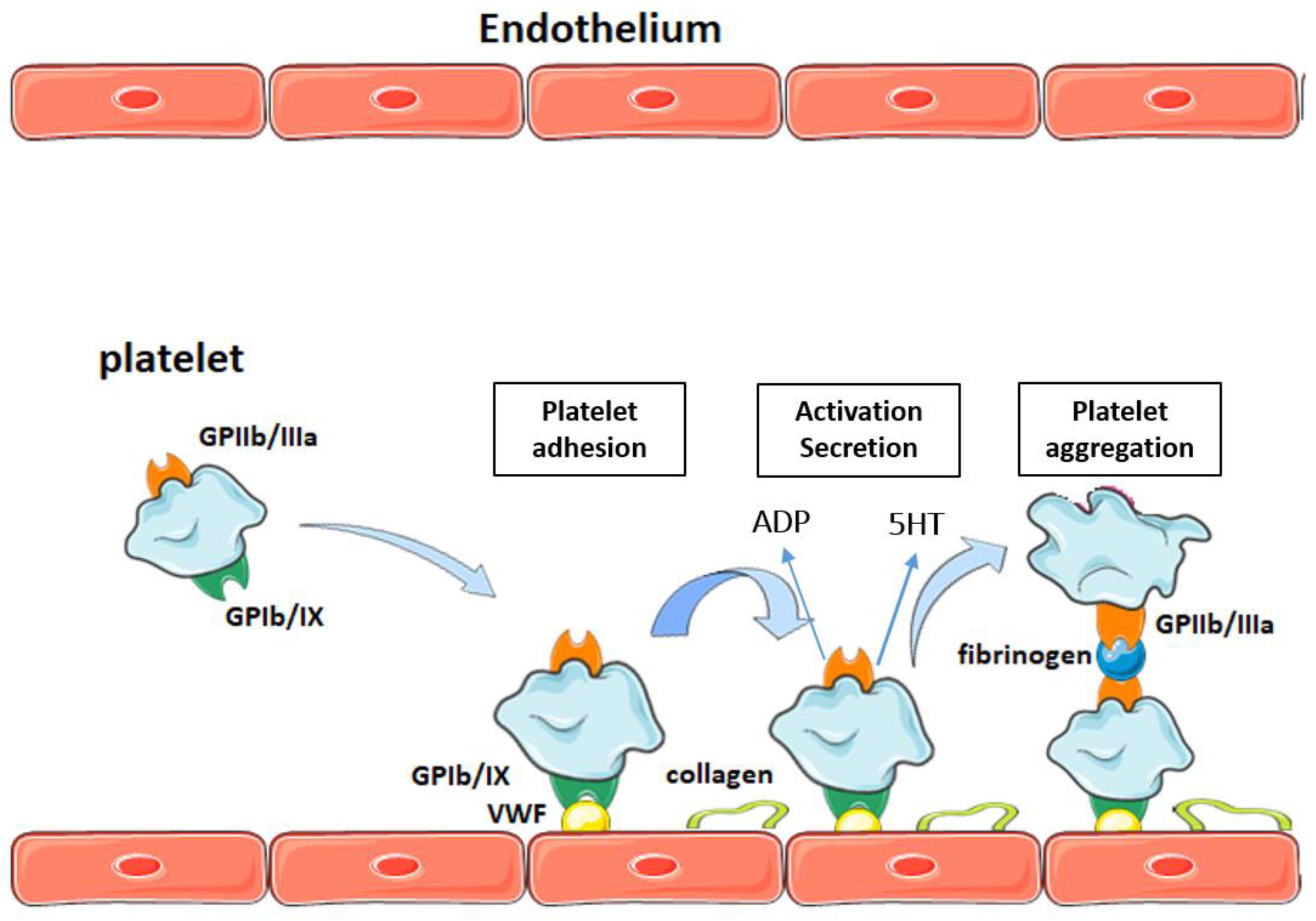 Molecules 27 06147 g001