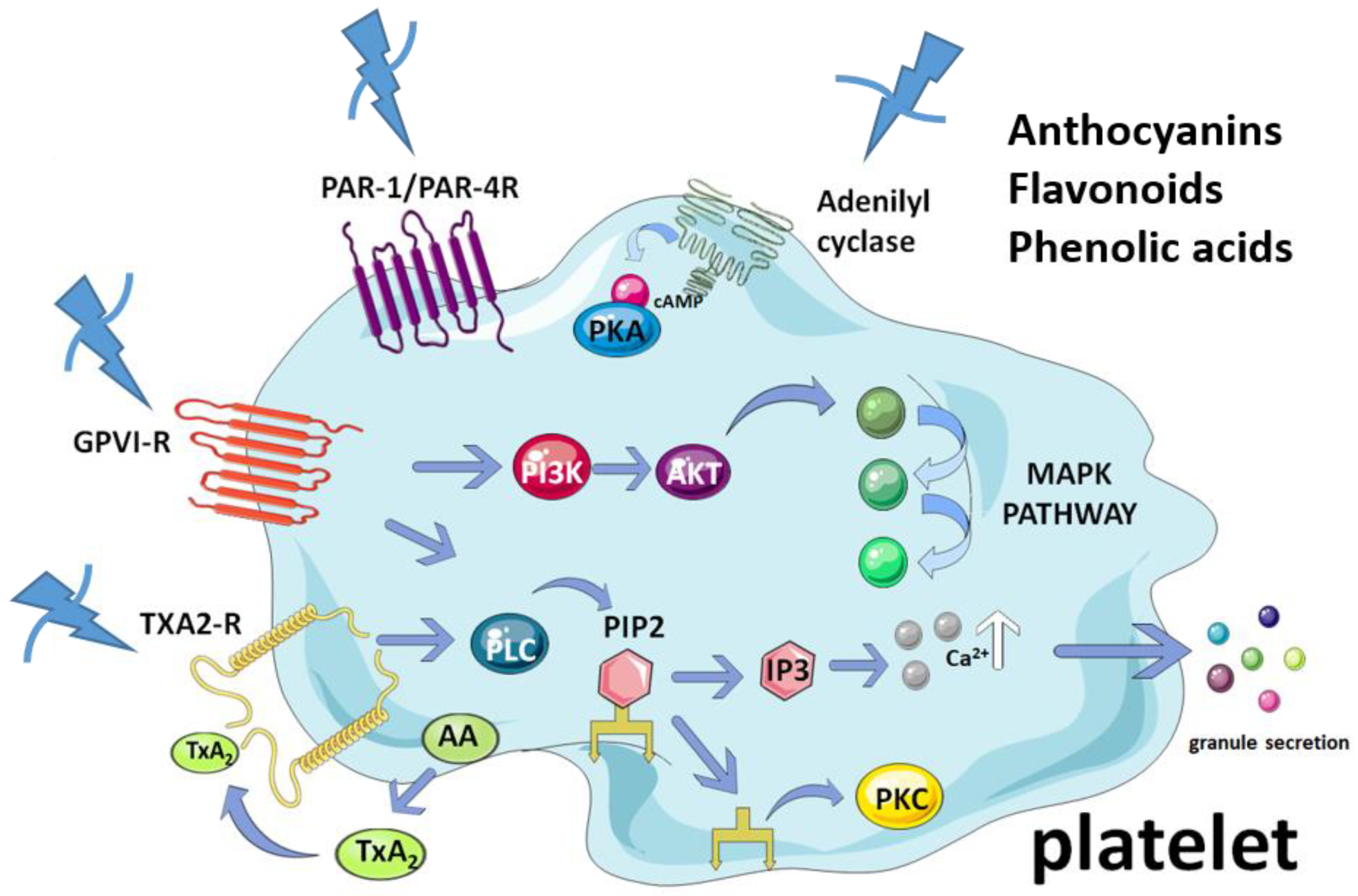 Molecules 27 06147 g005
