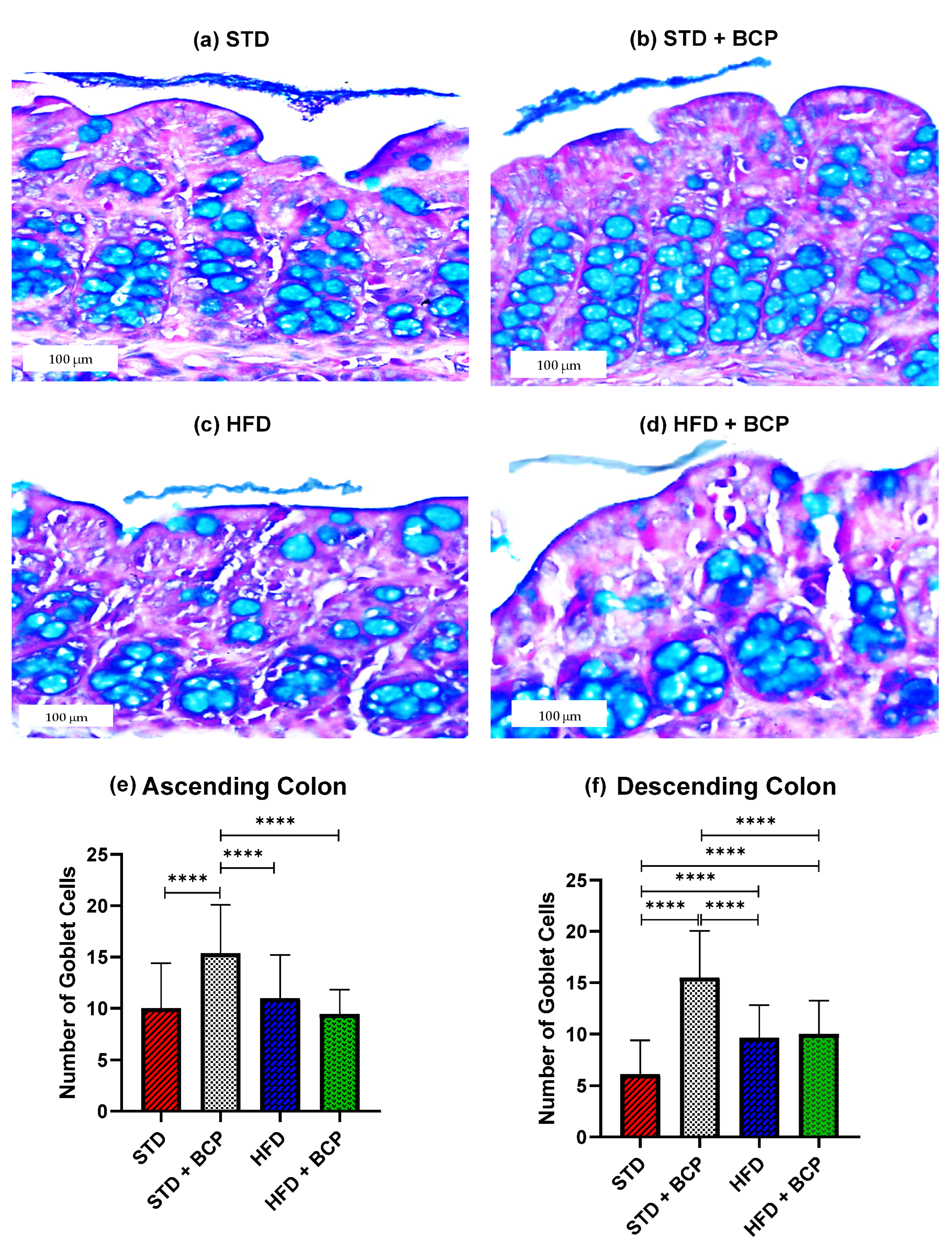 Molecules 27 06156 g001