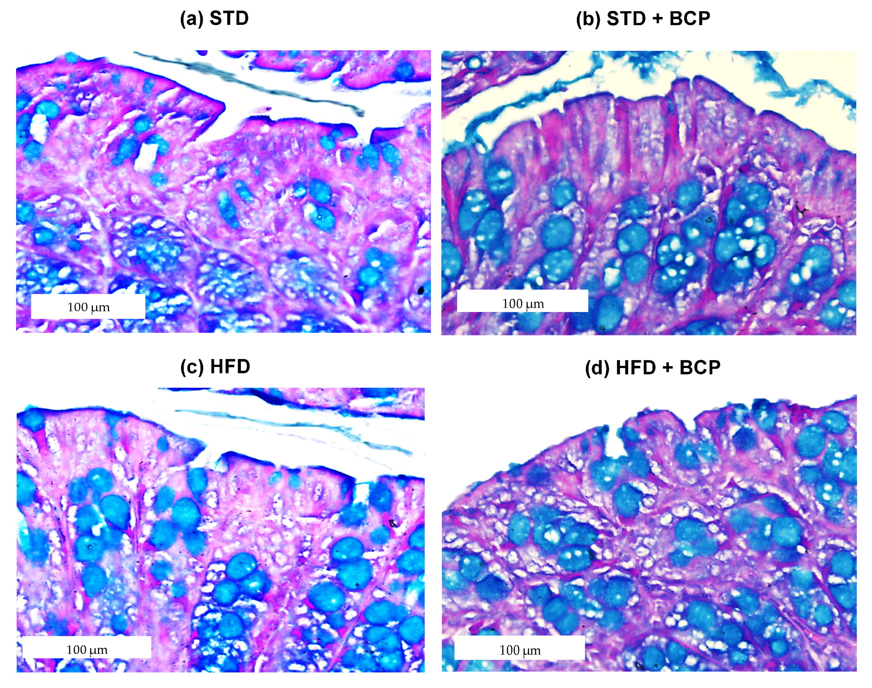 Molecules 27 06156 g0a4