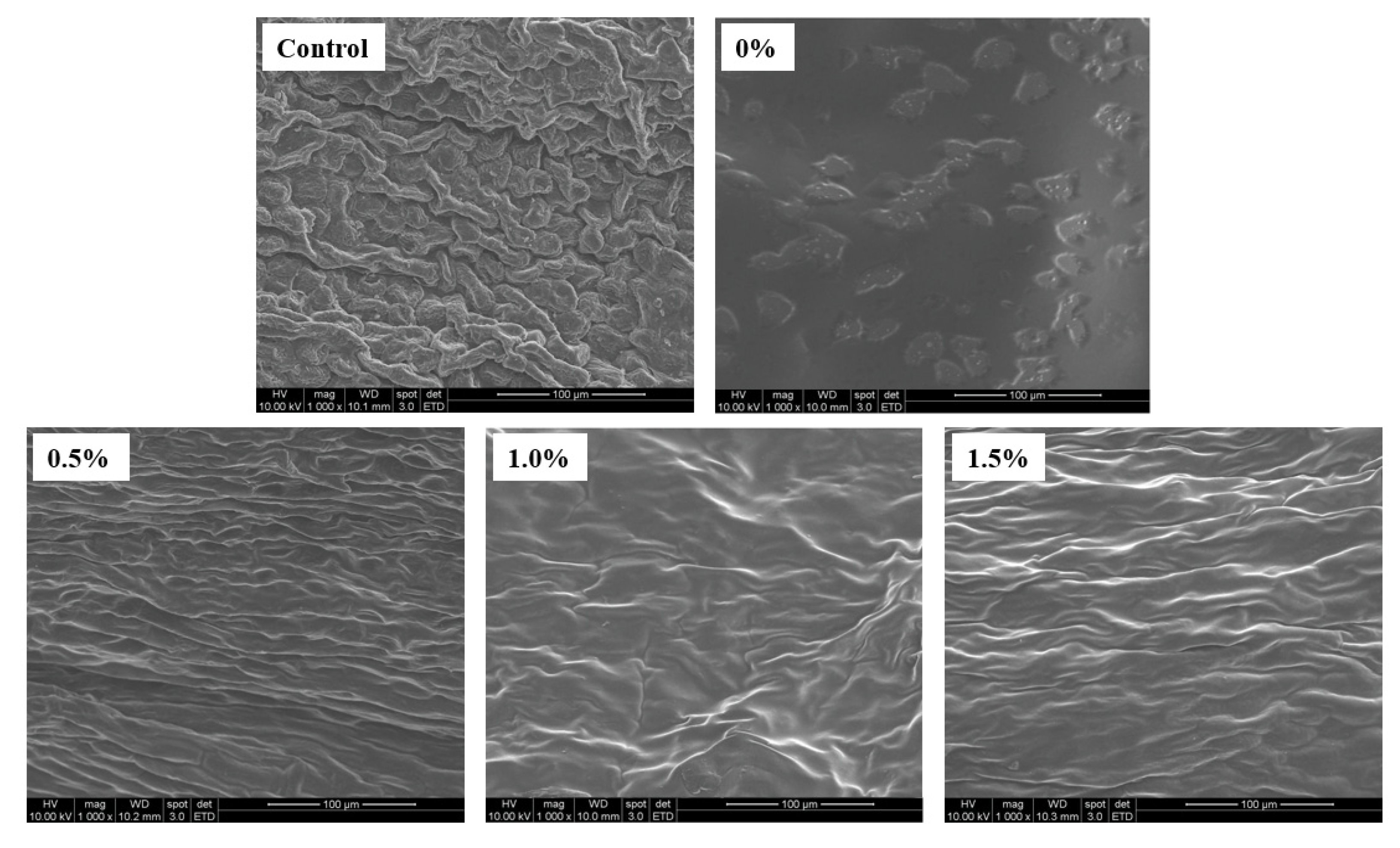 Molecules 27 06157 g006