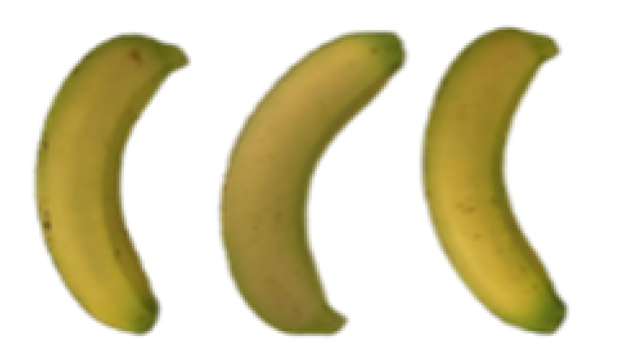 Molecules 27 06157 i001