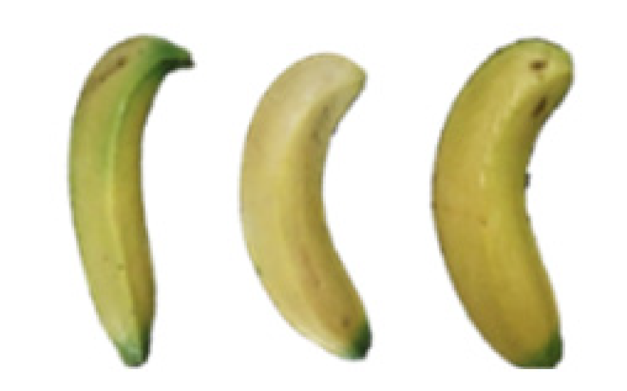 Molecules 27 06157 i003