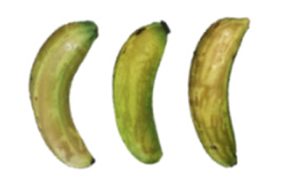 Molecules 27 06157 i010