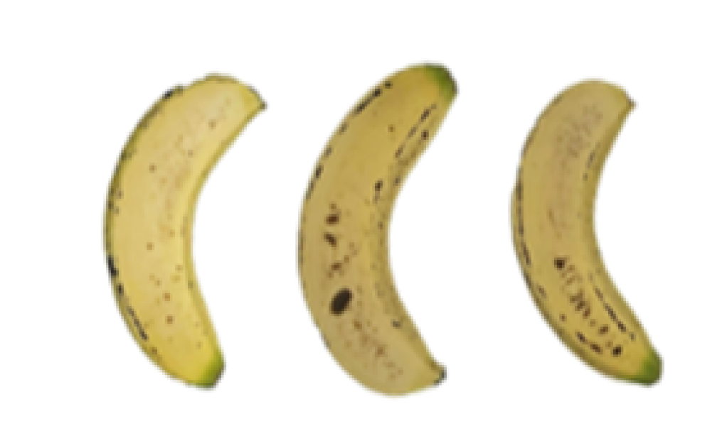 Molecules 27 06157 i011