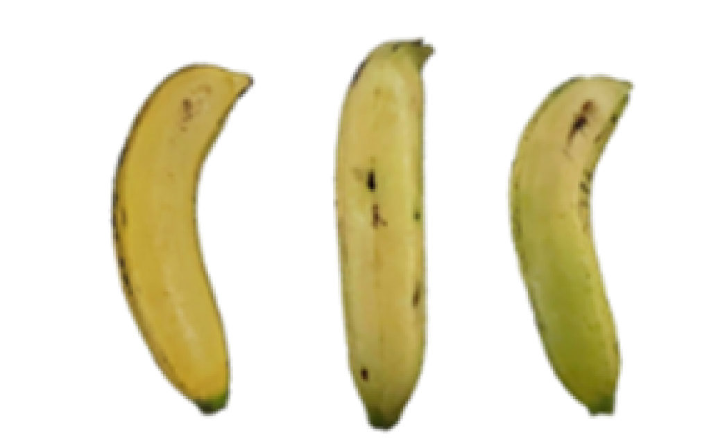 Molecules 27 06157 i012