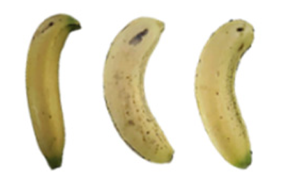 Molecules 27 06157 i013