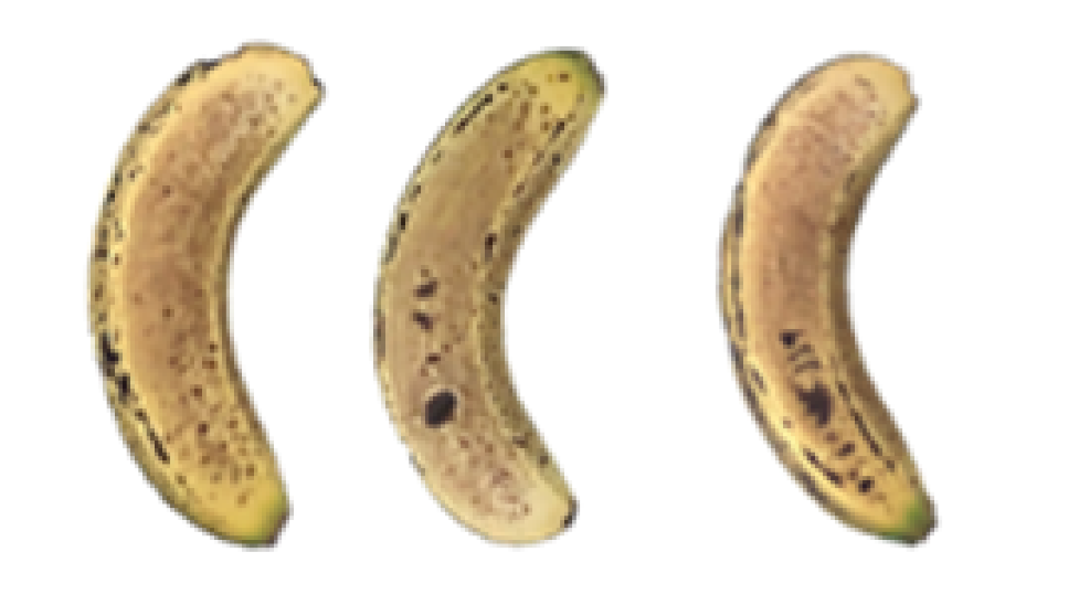 Molecules 27 06157 i016