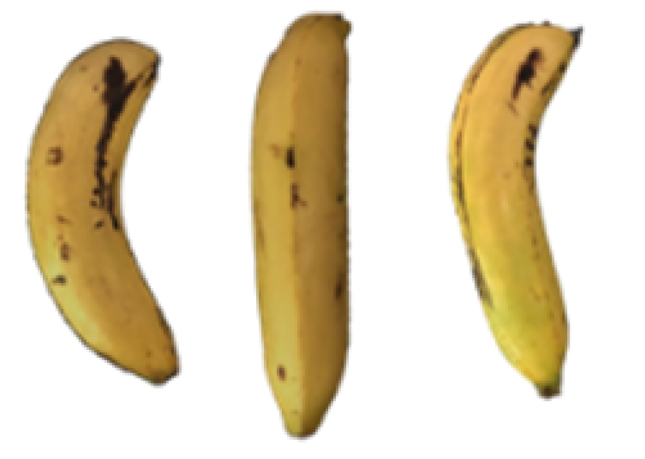 Molecules 27 06157 i017