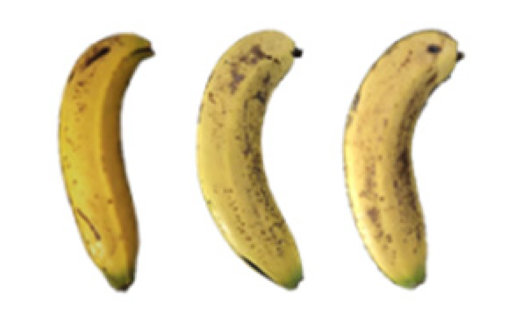 Molecules 27 06157 i018