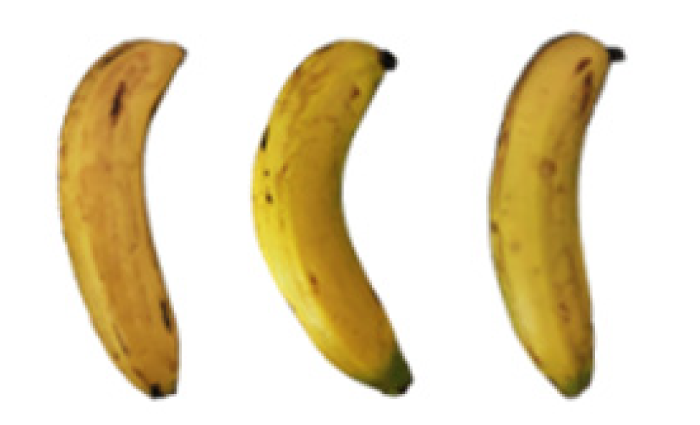 Molecules 27 06157 i019