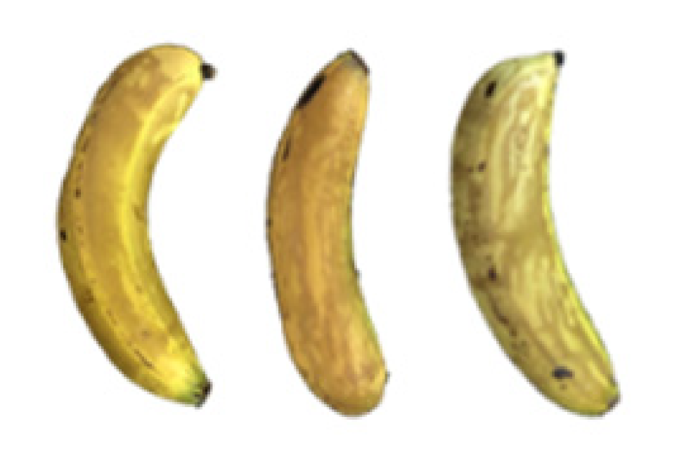 Molecules 27 06157 i020