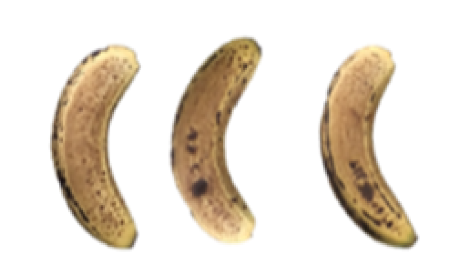 Molecules 27 06157 i021