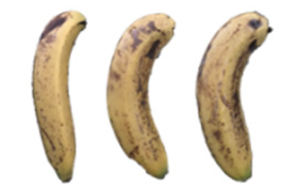 Molecules 27 06157 i023