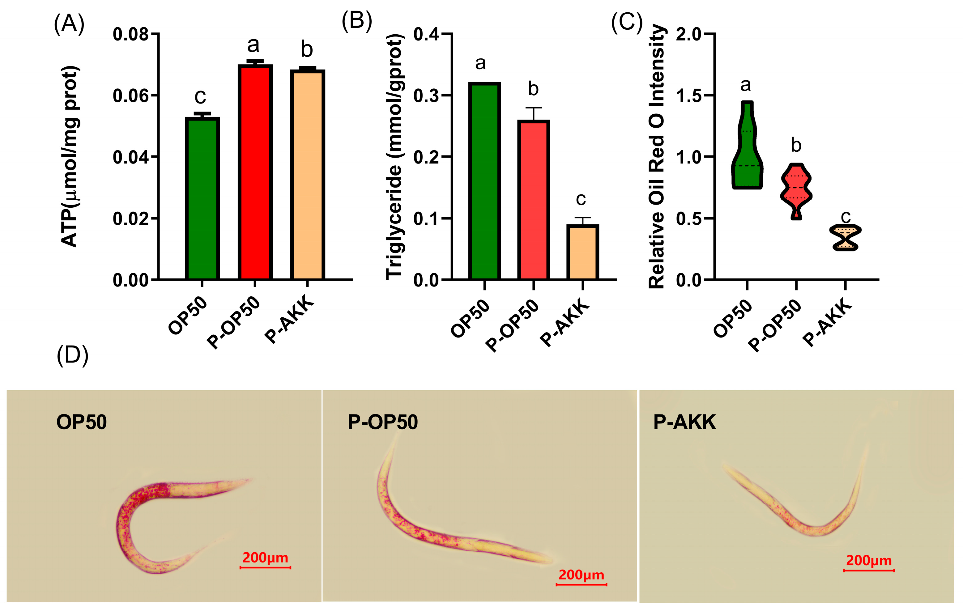Molecules 27 06159 g002 Molecules 27 06159 g002