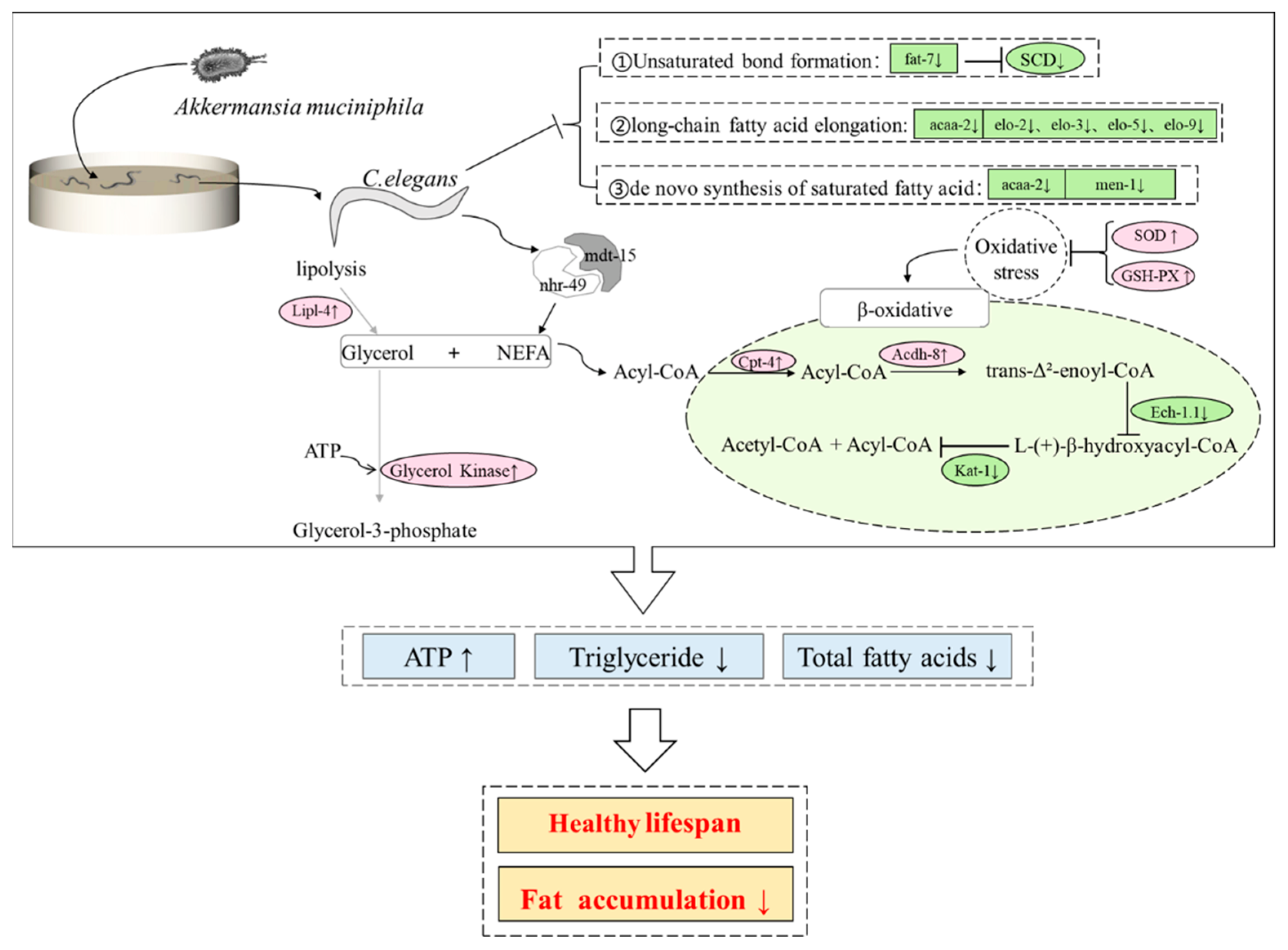 Molecules 27 06159 g007 Molecules 27 06159 g007