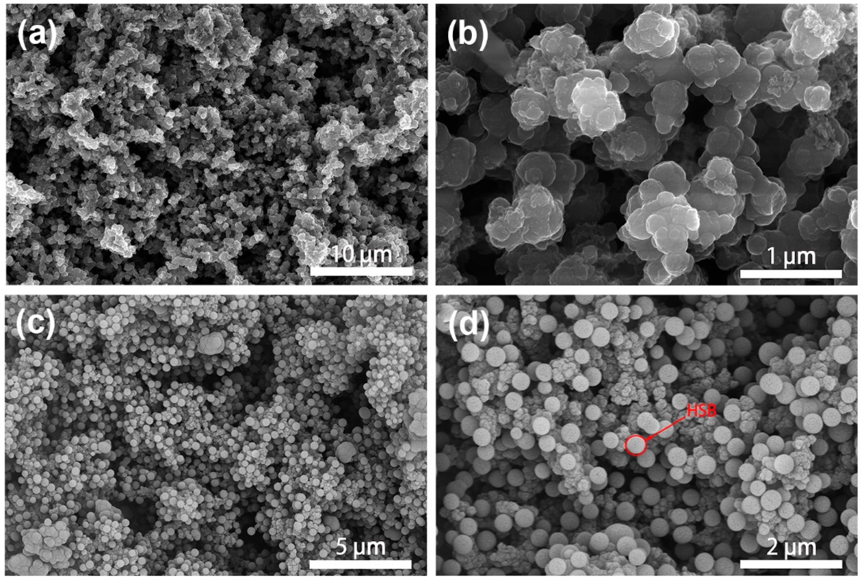 Molecules 27 06160 g004