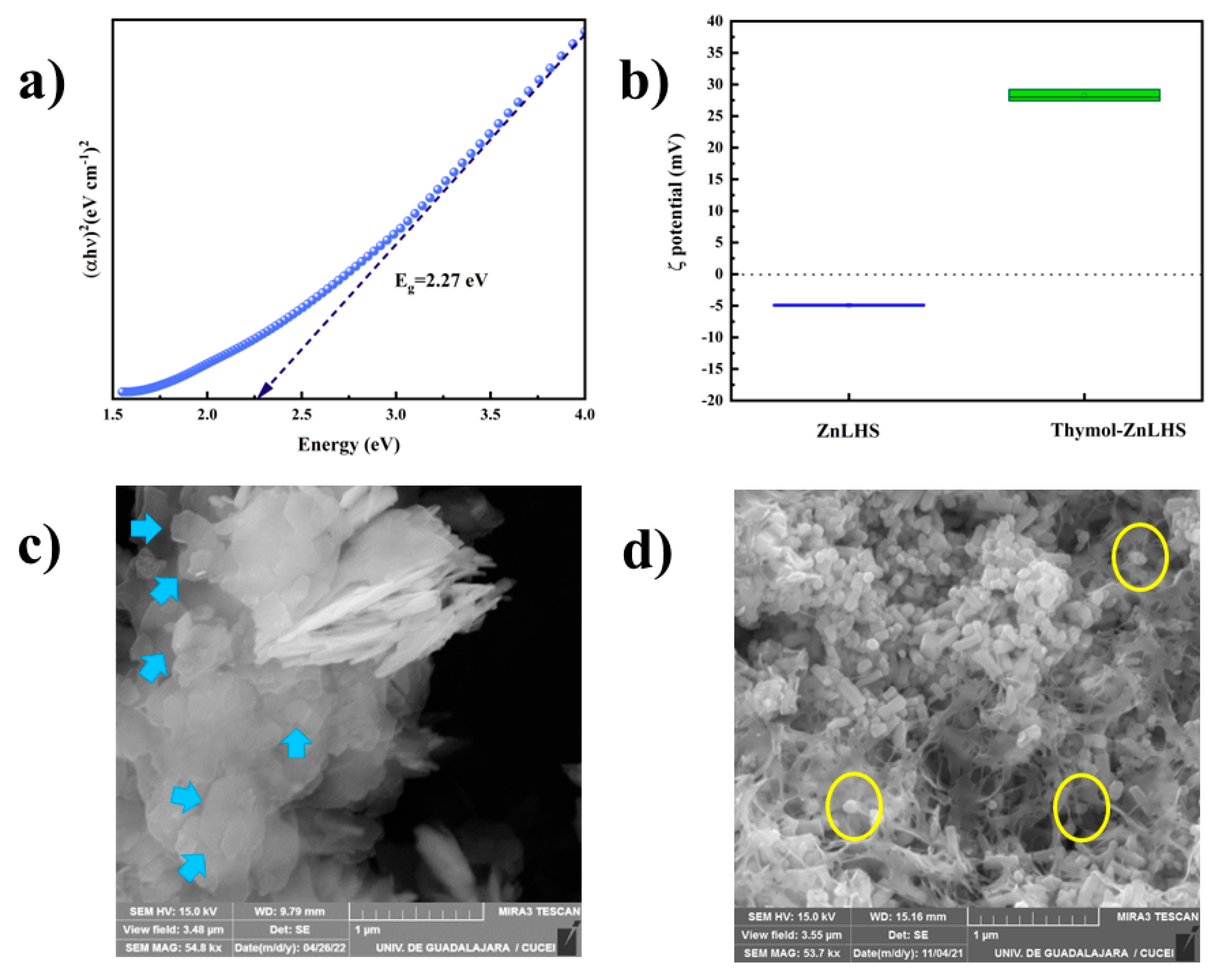 Molecules 27 06161 g007