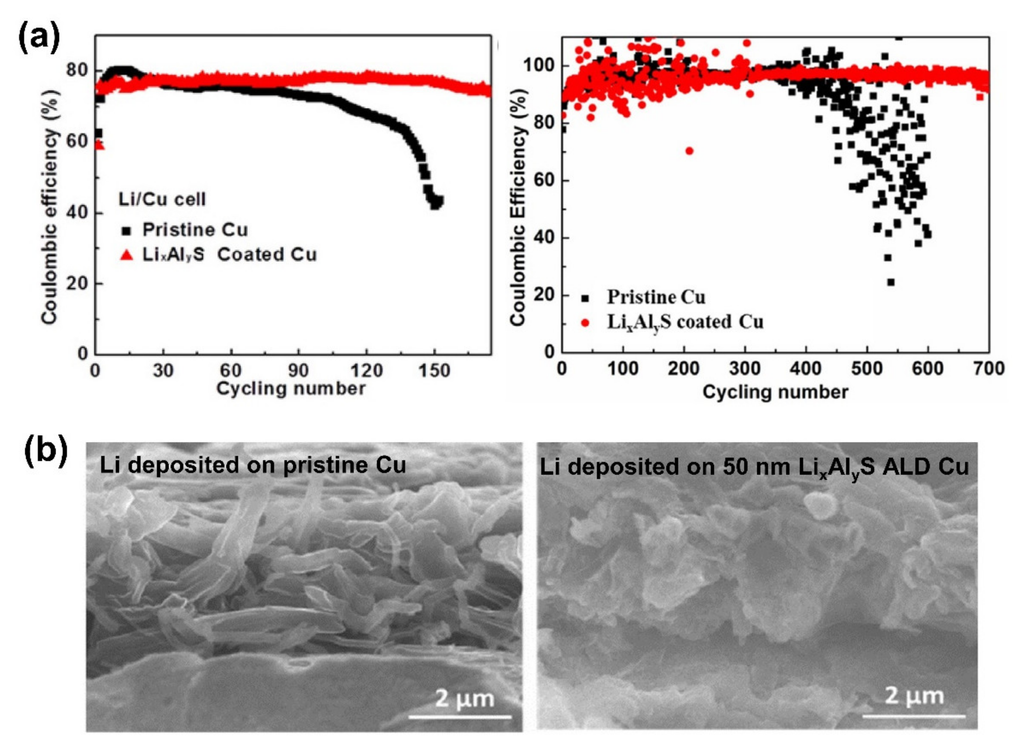Molecules 27 06170 g004 550