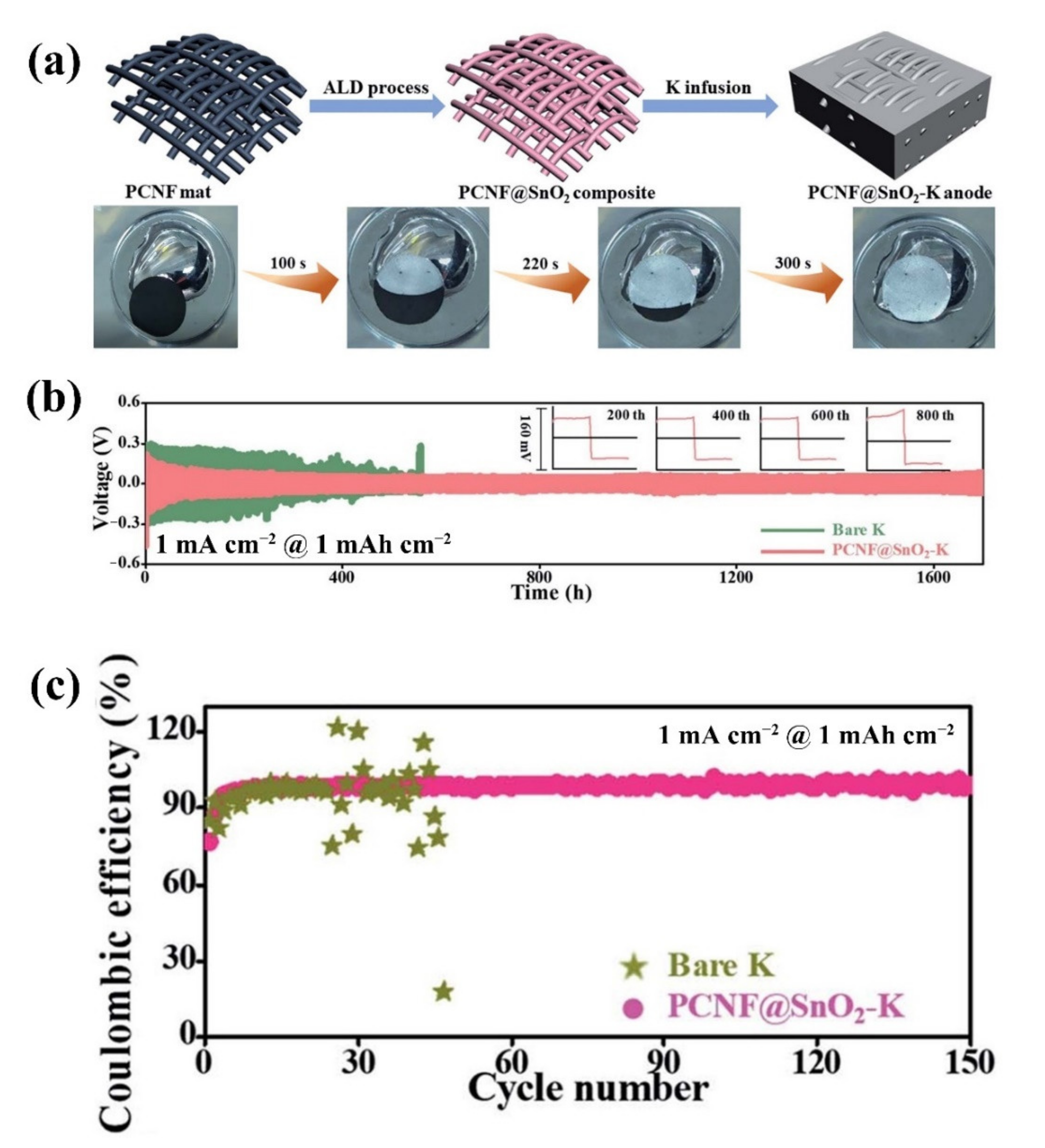 Molecules 27 06170 g006 550