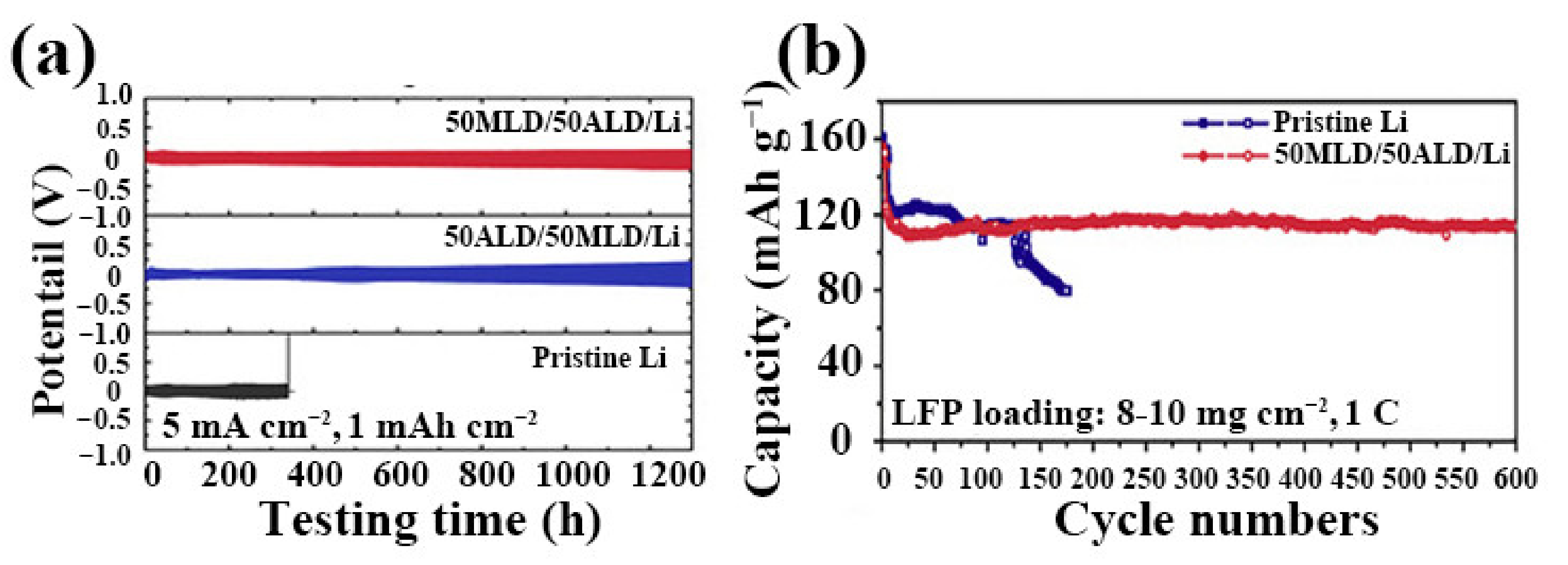 Molecules 27 06170 g013 550