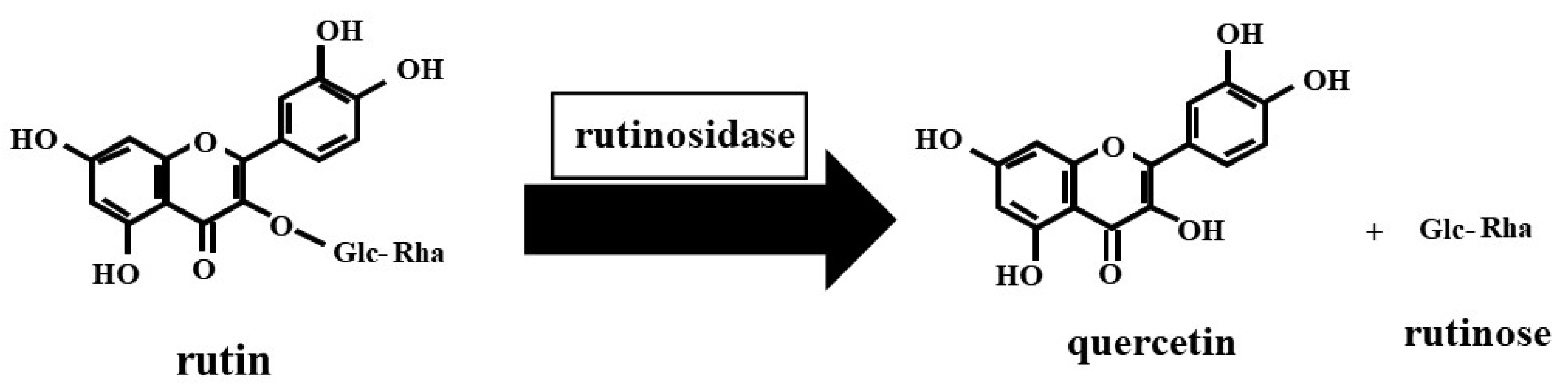 Molecules 27 06172 g001