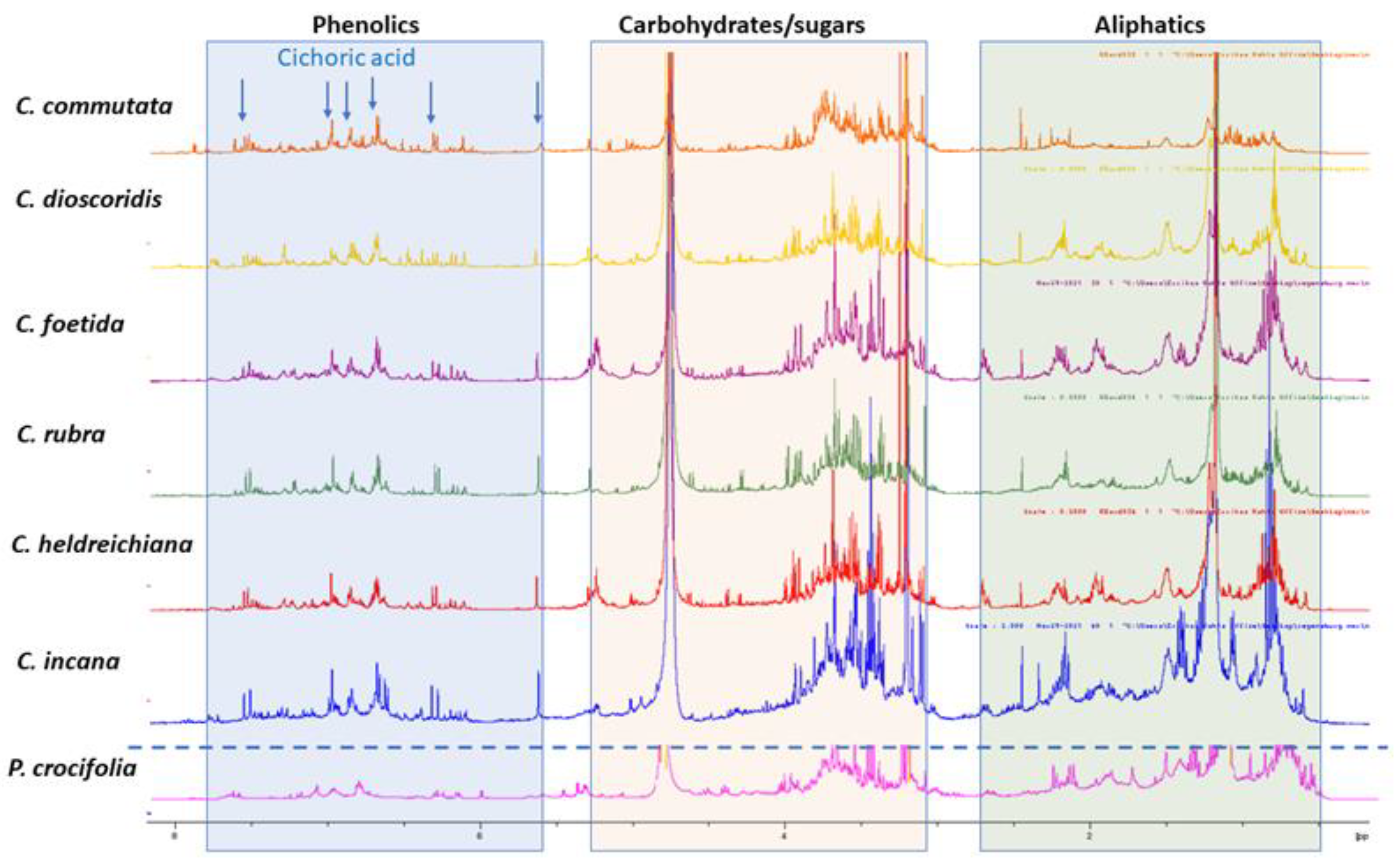 Molecules 27 06173 g001