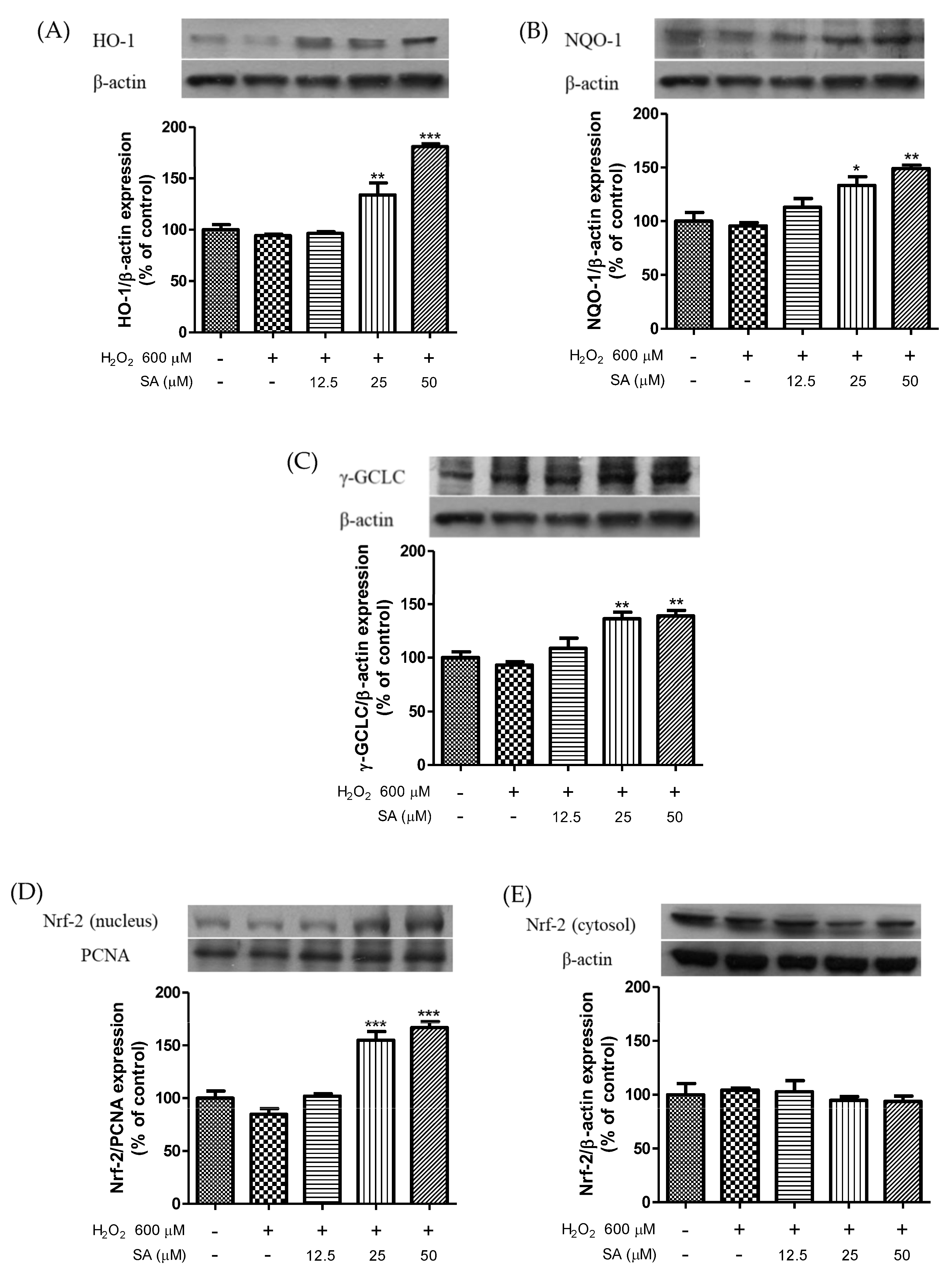Molecules 27 06185 g004