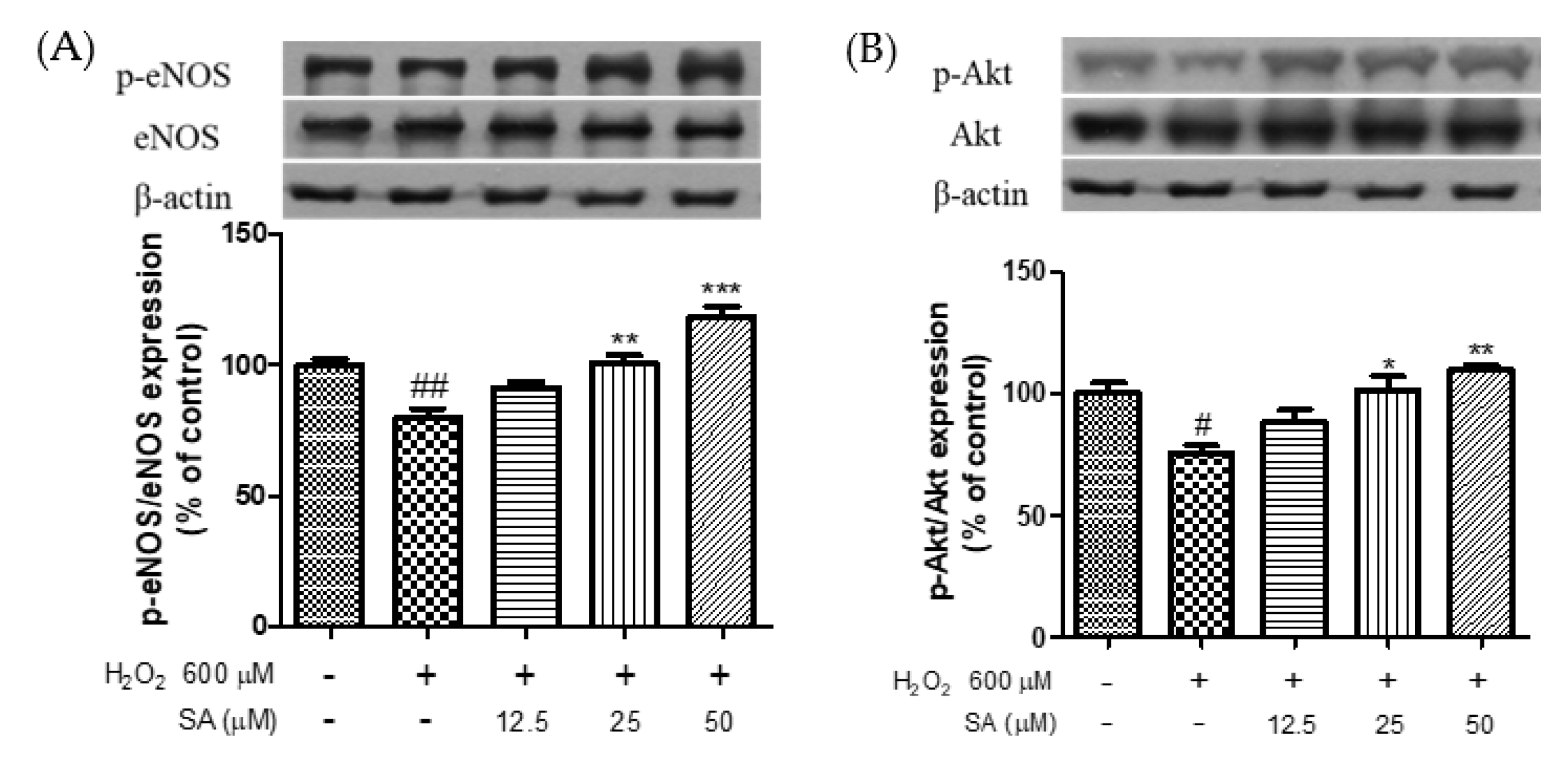 Molecules 27 06185 g005