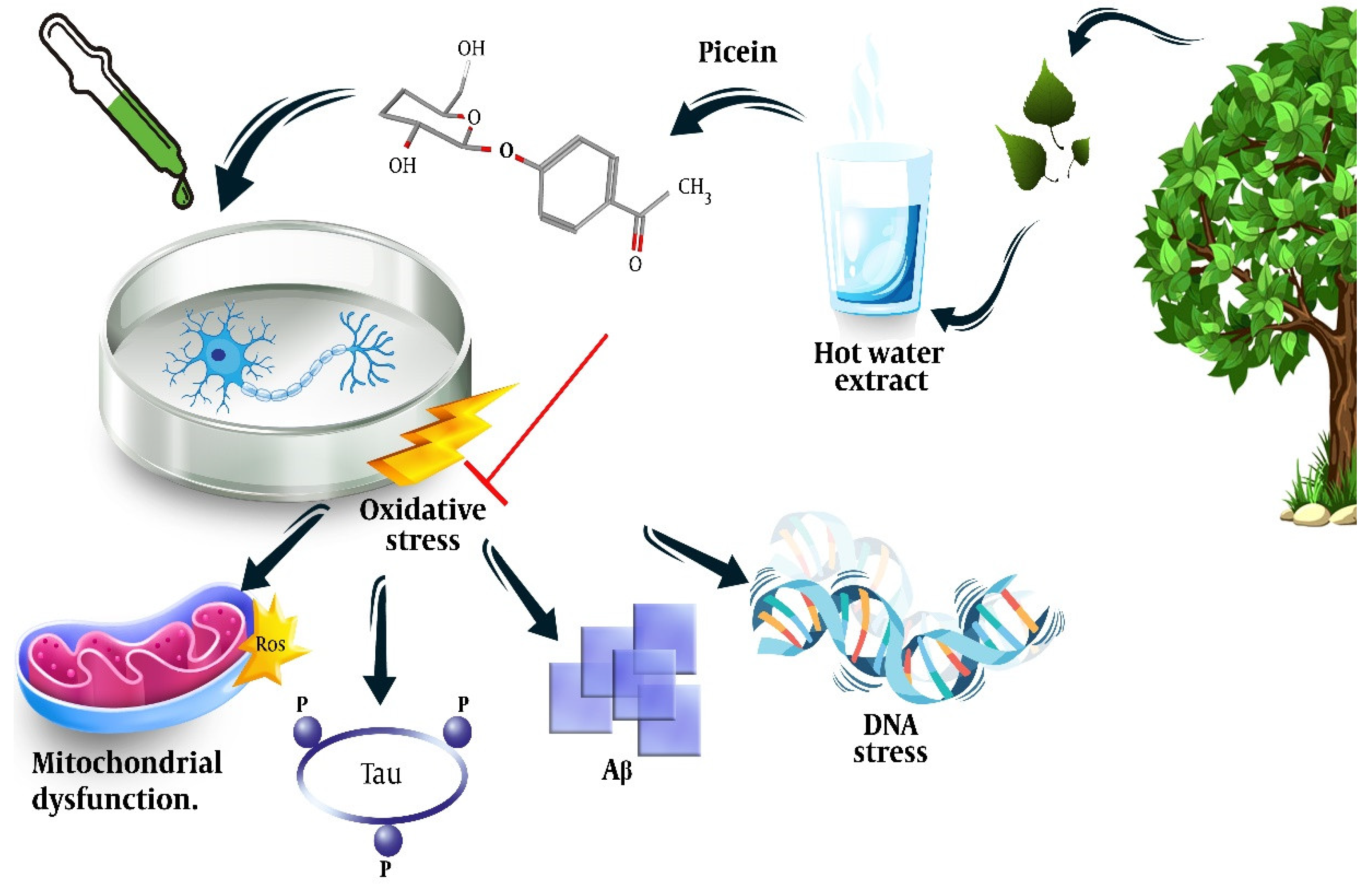 Molecules 27 06189 g002 Molecules 27 06189 g002