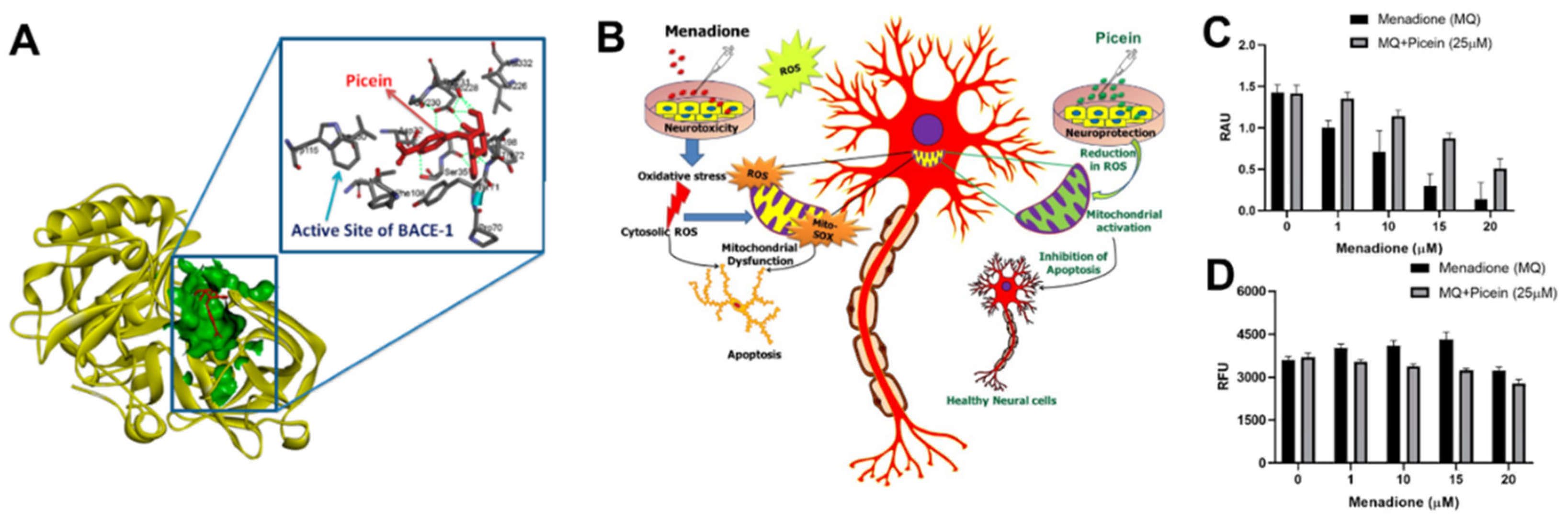 Molecules 27 06189 g003 Molecules 27 06189 g003