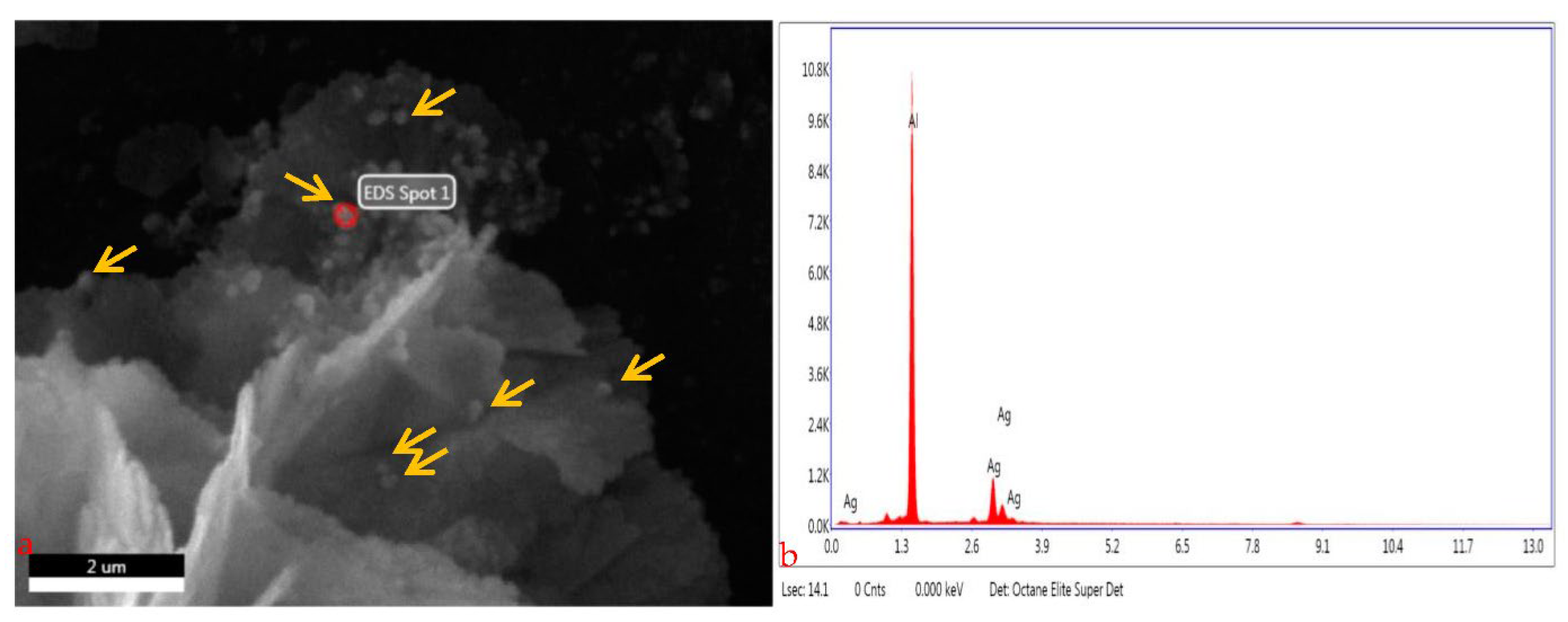 Molecules 27 06191 g006